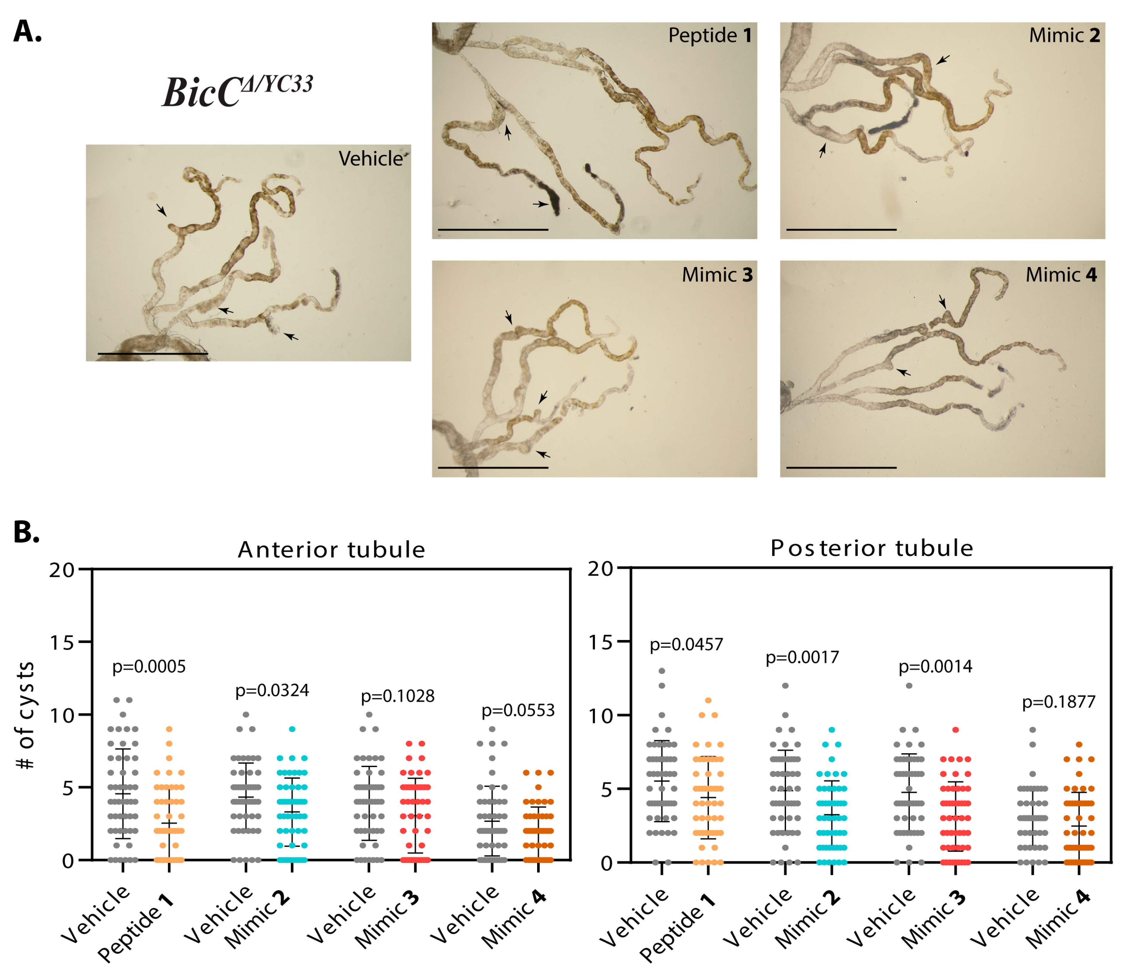 Biomedicines 07 00082 g003