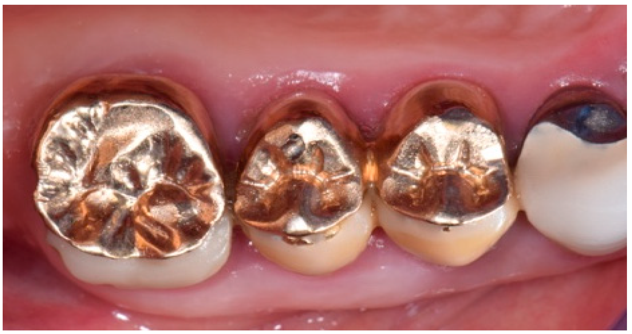 Biomedicines 07 00089 g001