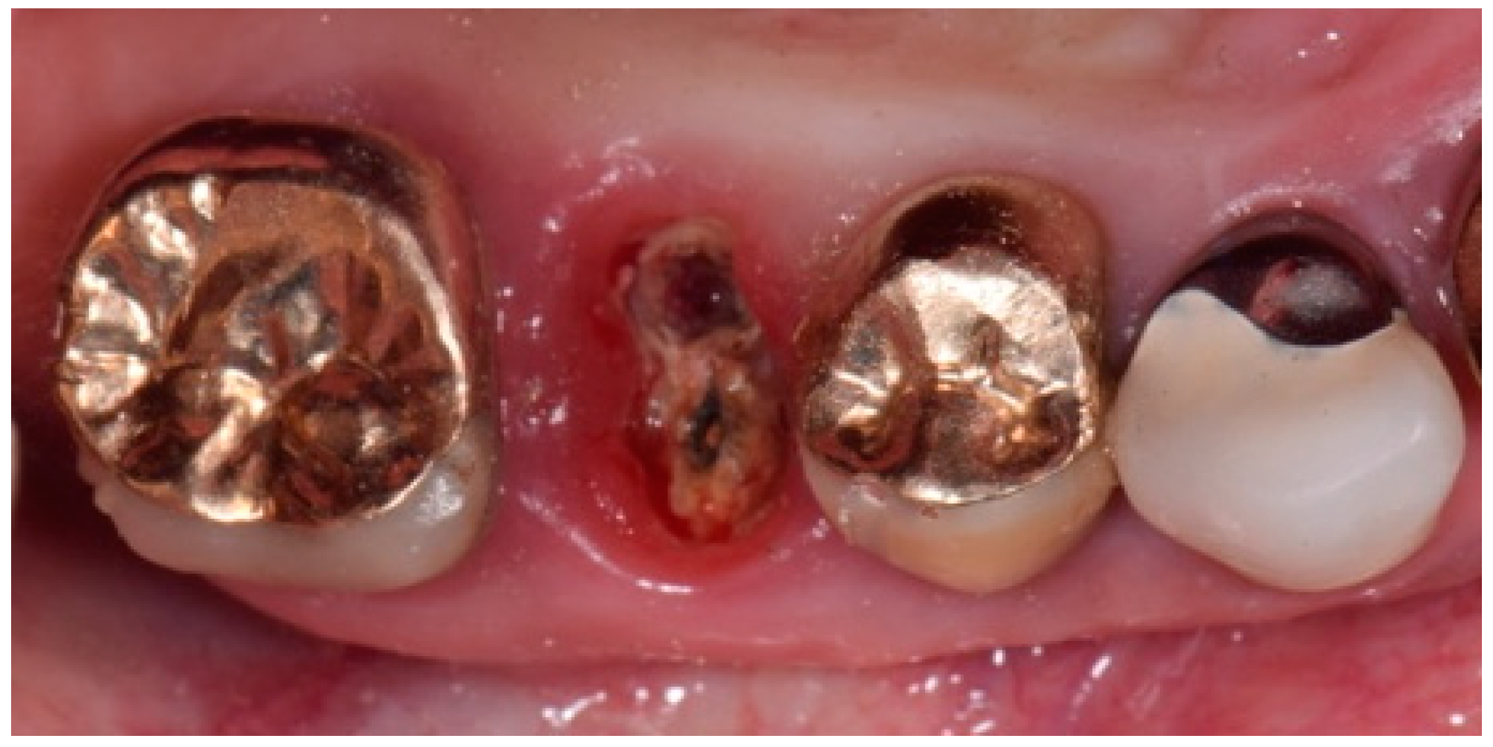 Biomedicines 07 00089 g002