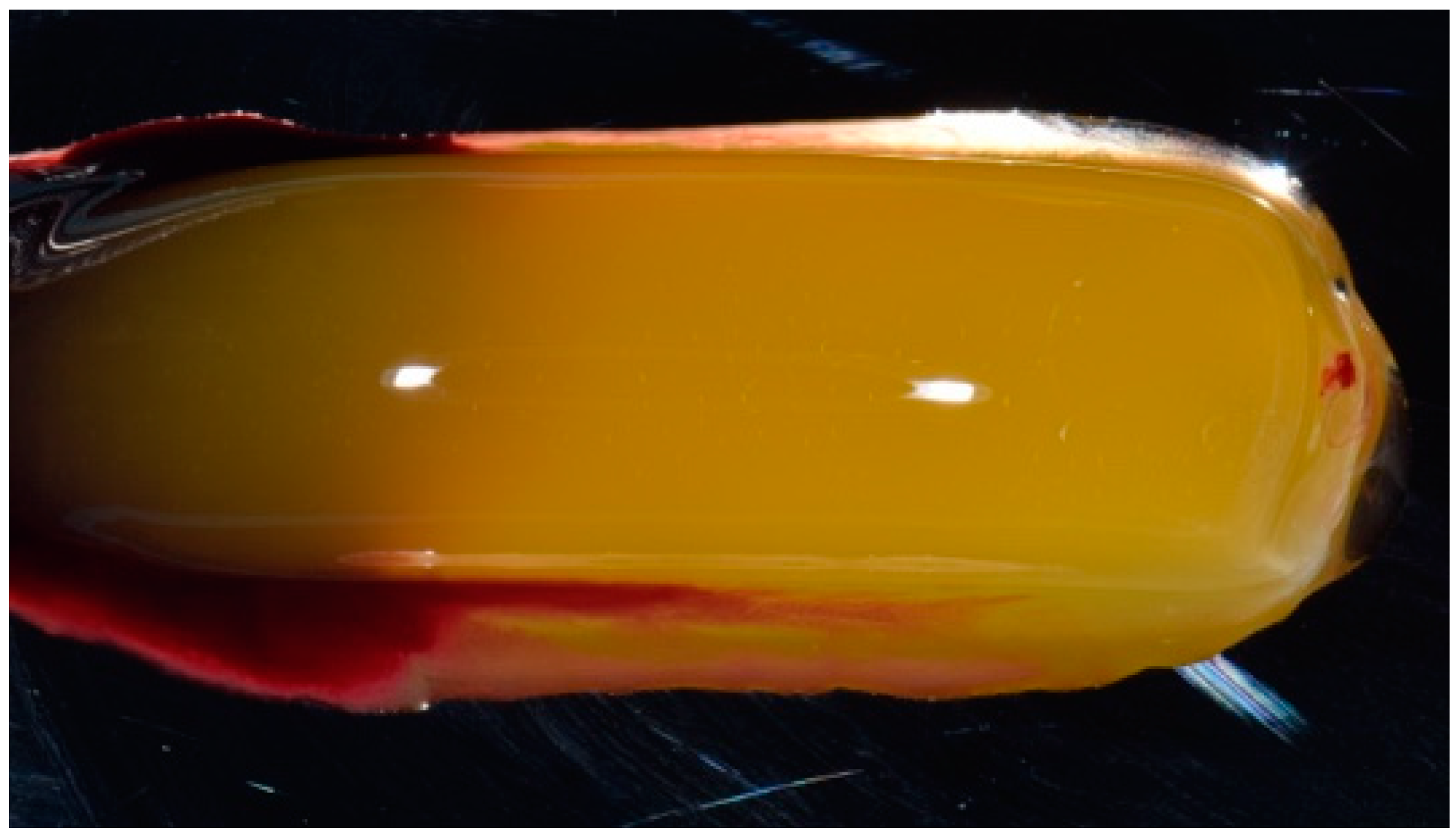 Biomedicines 07 00089 g003