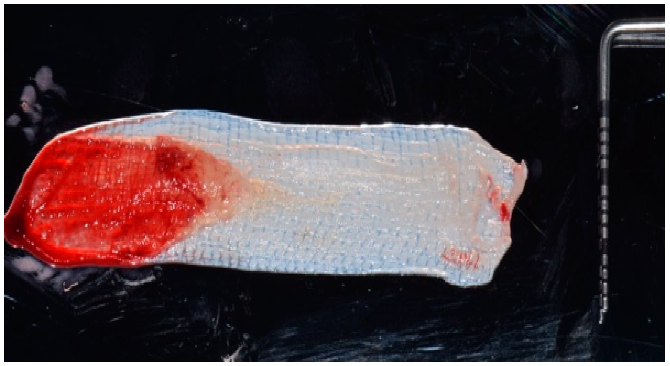 Biomedicines 07 00089 g004