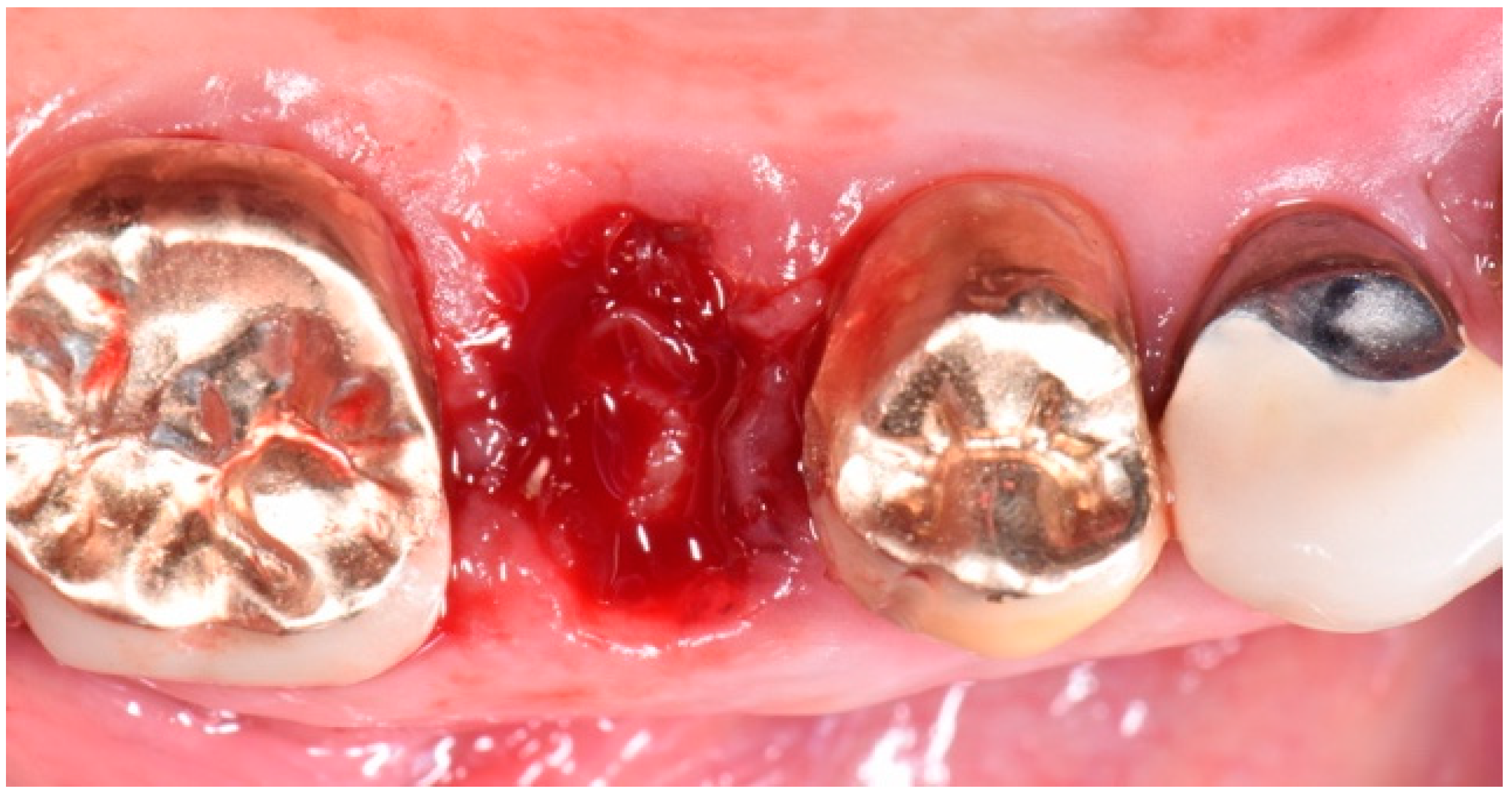 Biomedicines 07 00089 g005