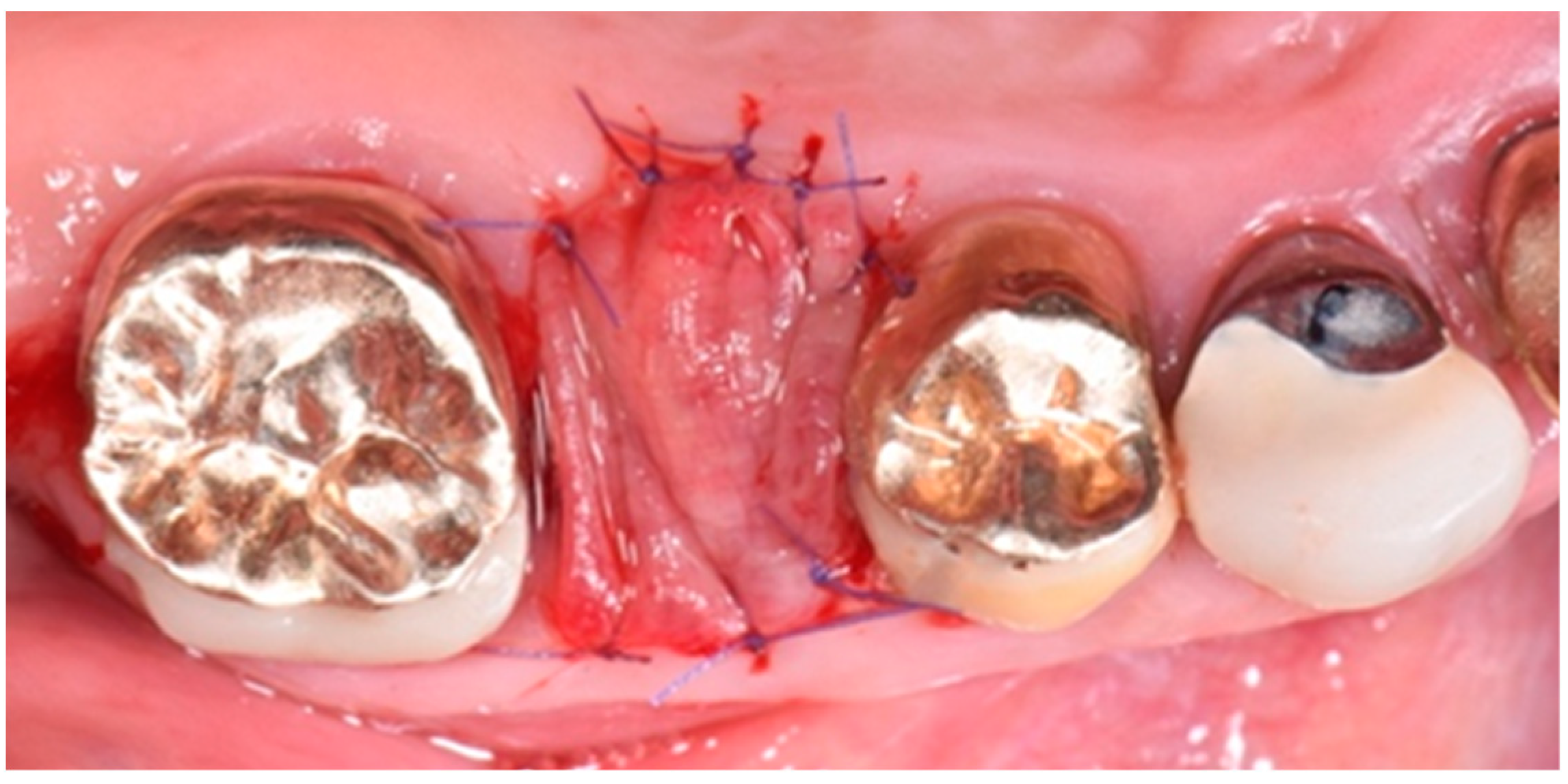 Biomedicines 07 00089 g006