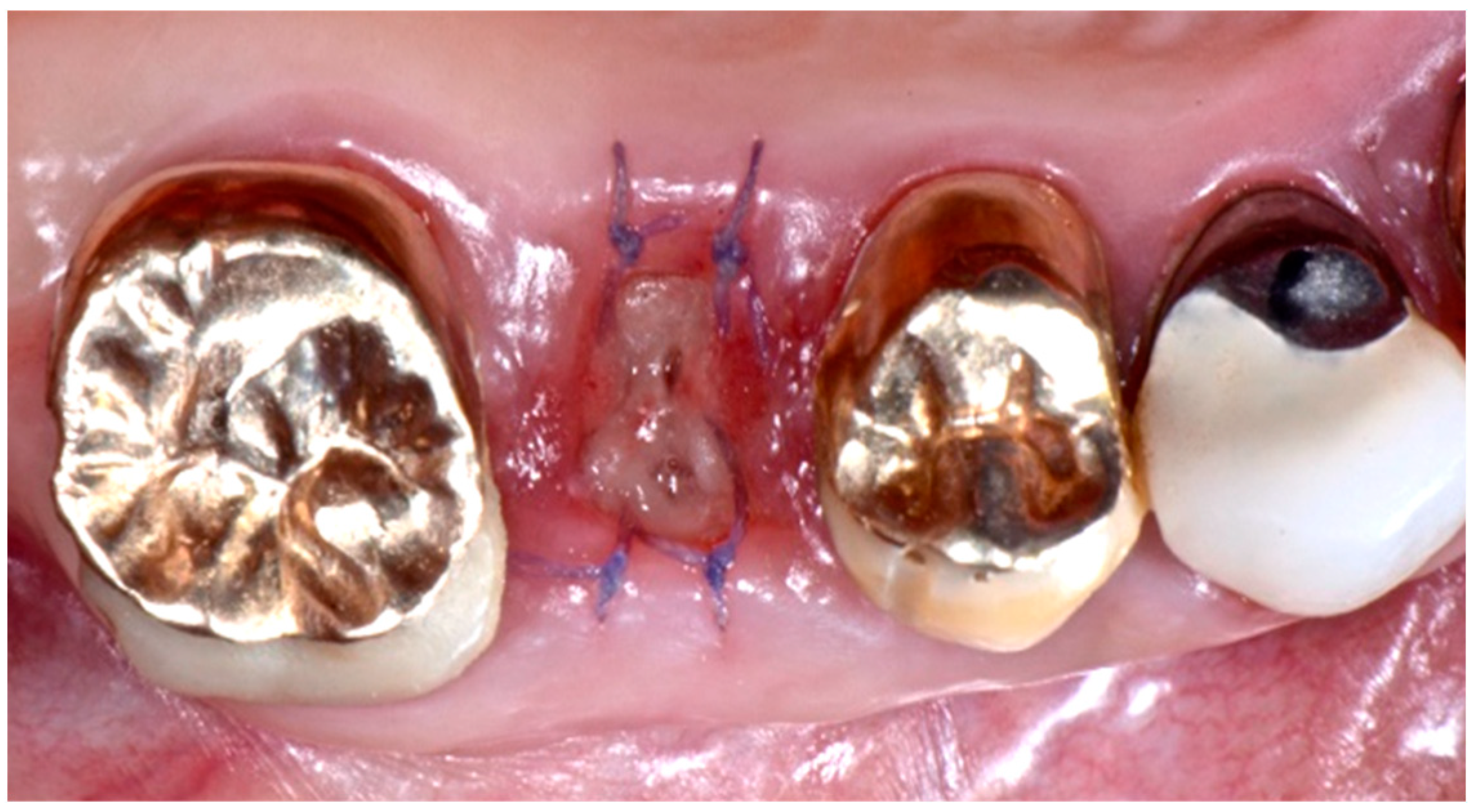 Biomedicines 07 00089 g007