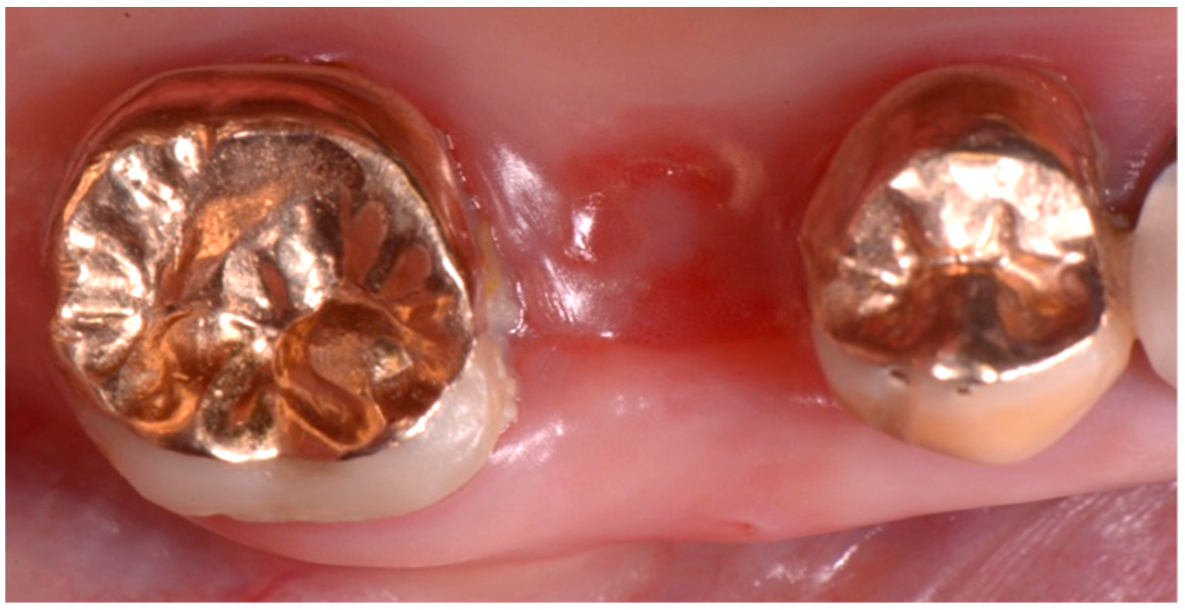 Biomedicines 07 00089 g008