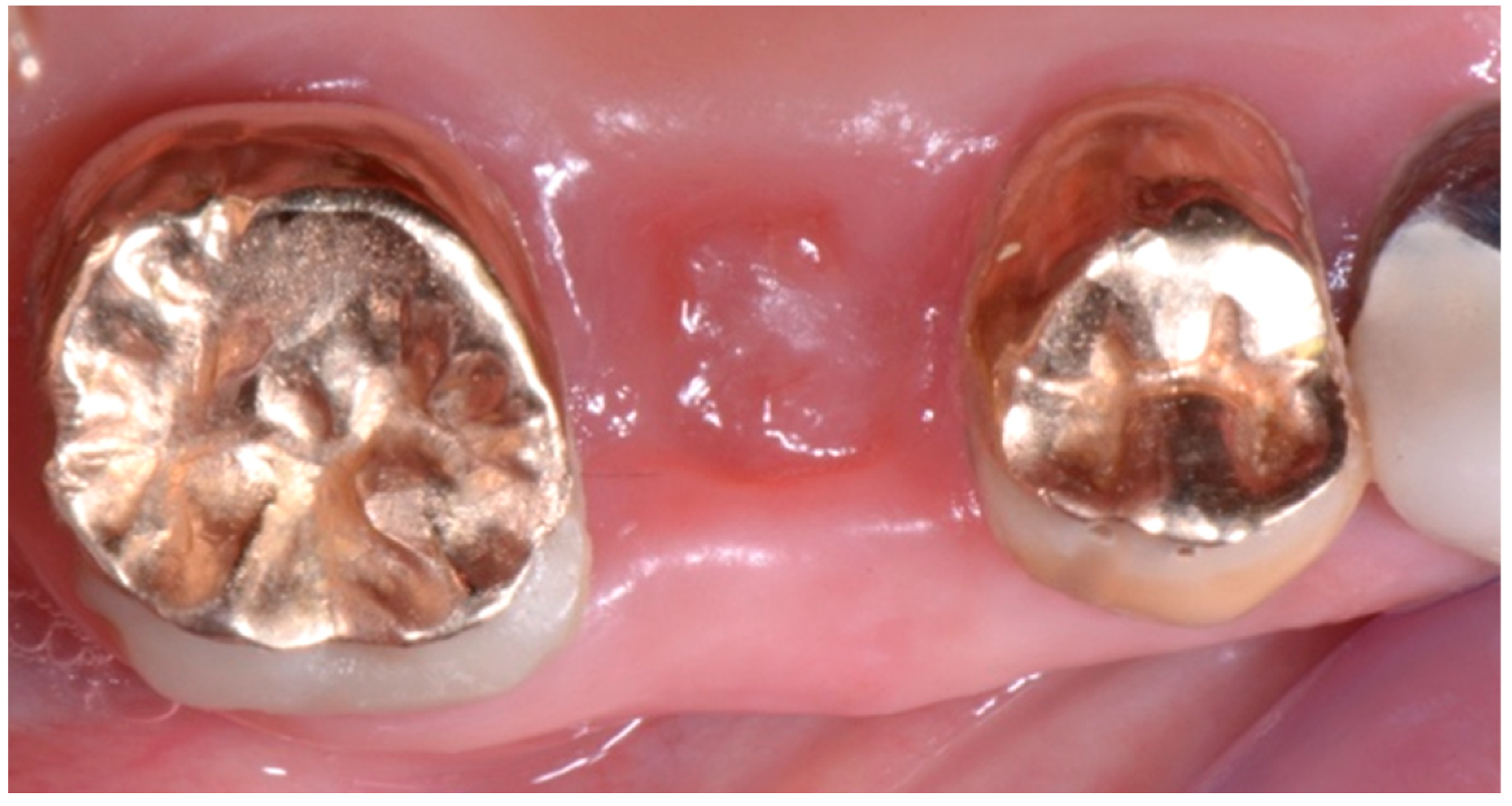 Biomedicines 07 00089 g009