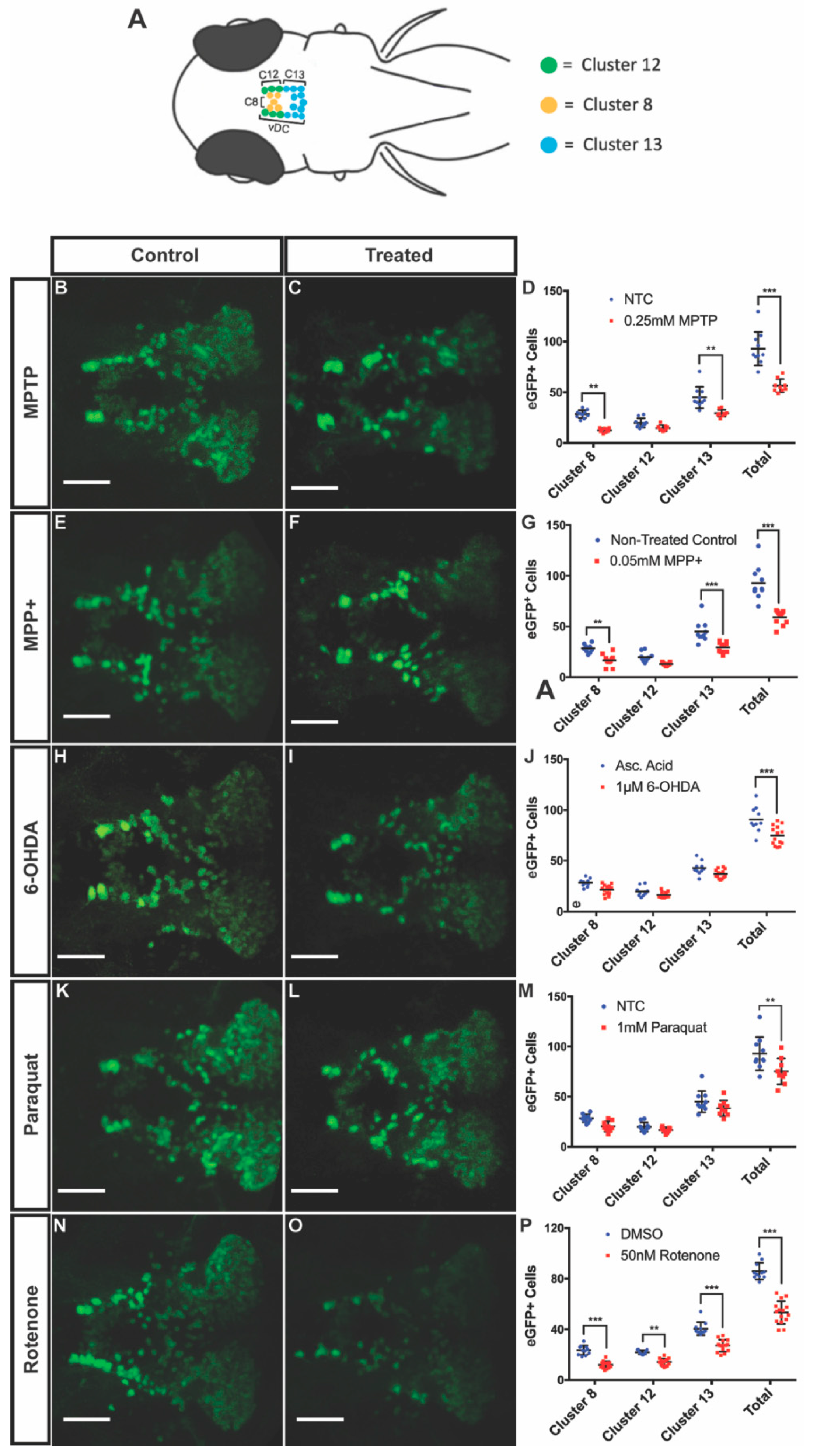 Biomedicines 08 00001 g003 Biomedicines 08 00001 g003