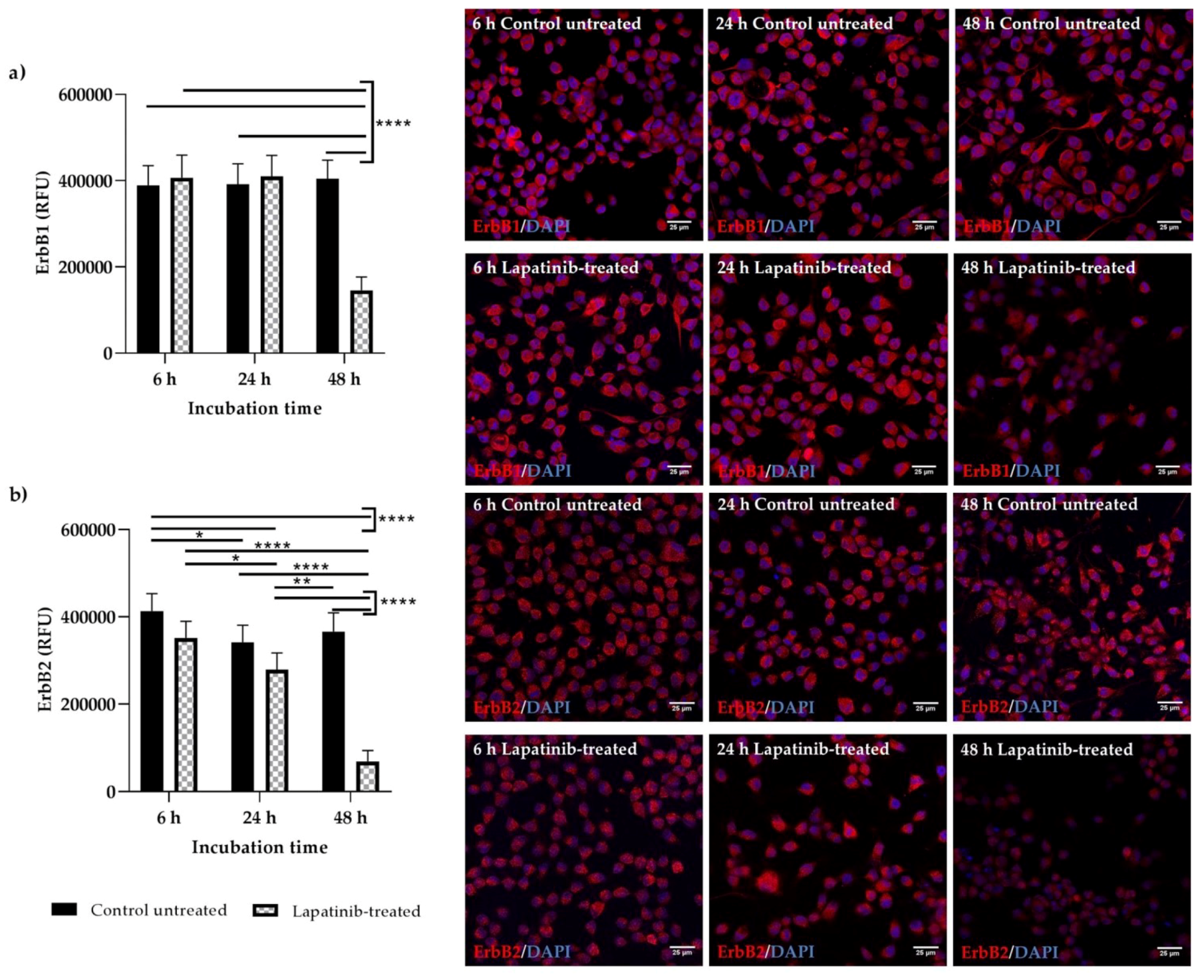 Biomedicines 08 00002 g004