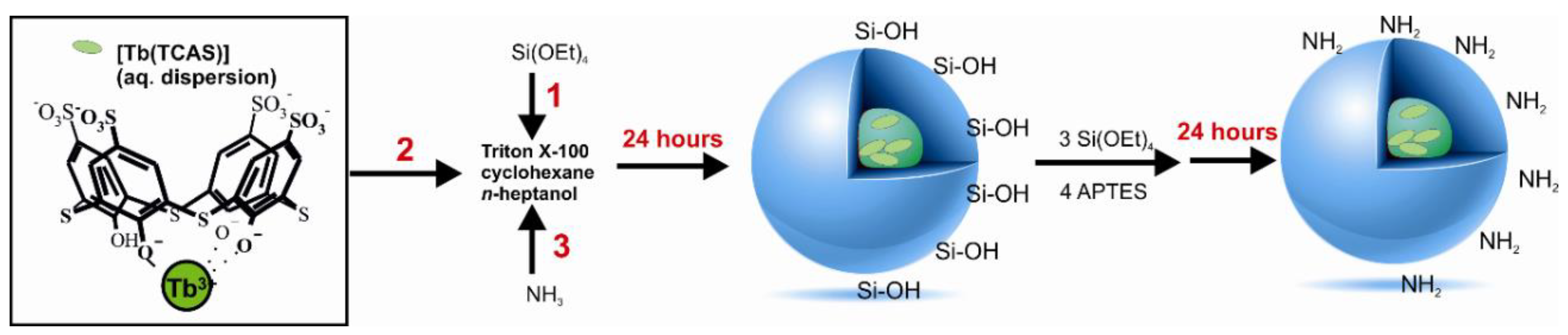 Biomedicines 08 00014 g001