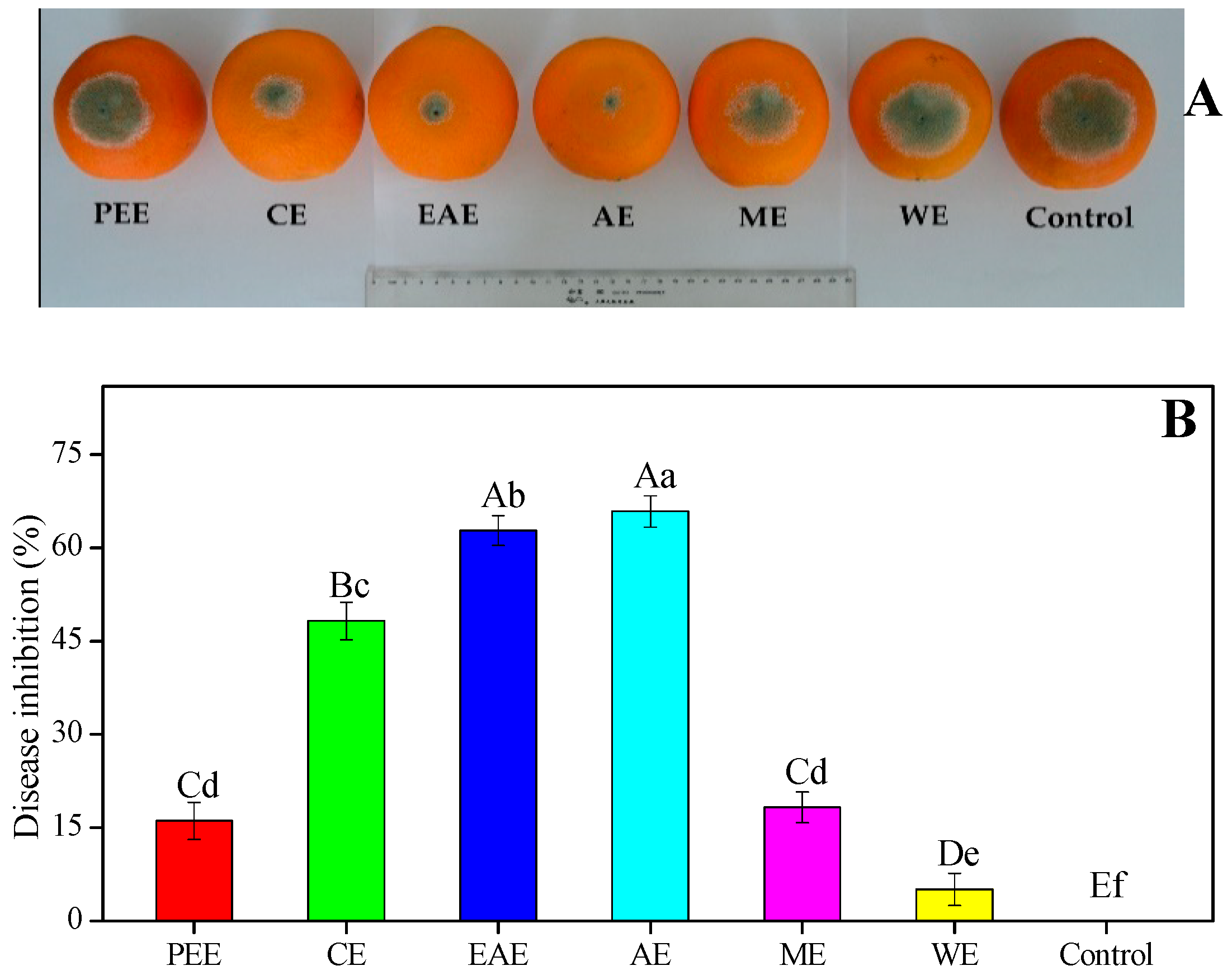 Biomedicines 08 00015 g004 Biomedicines 08 00015 g004