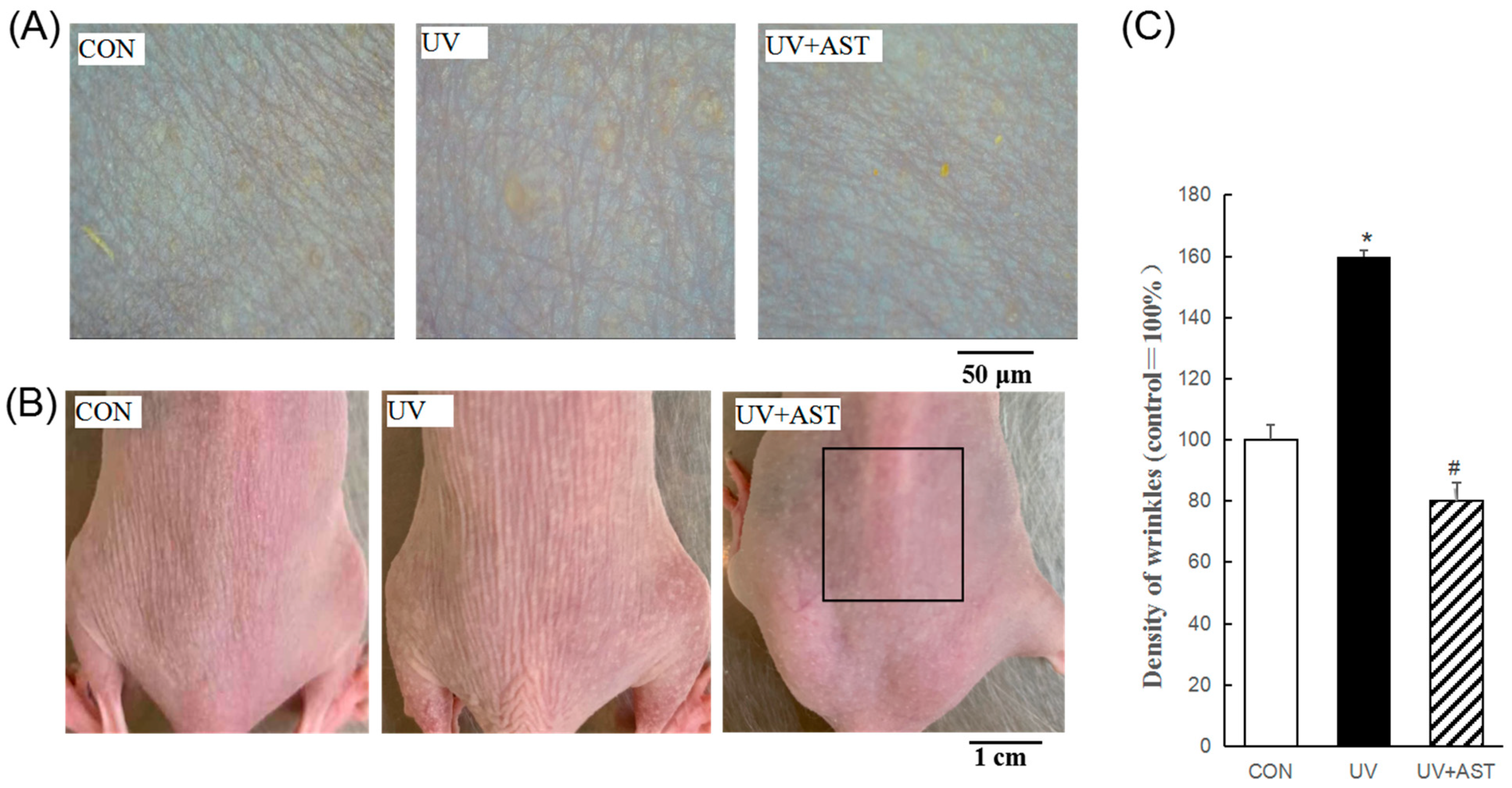 Biomedicines 08 00018 g001