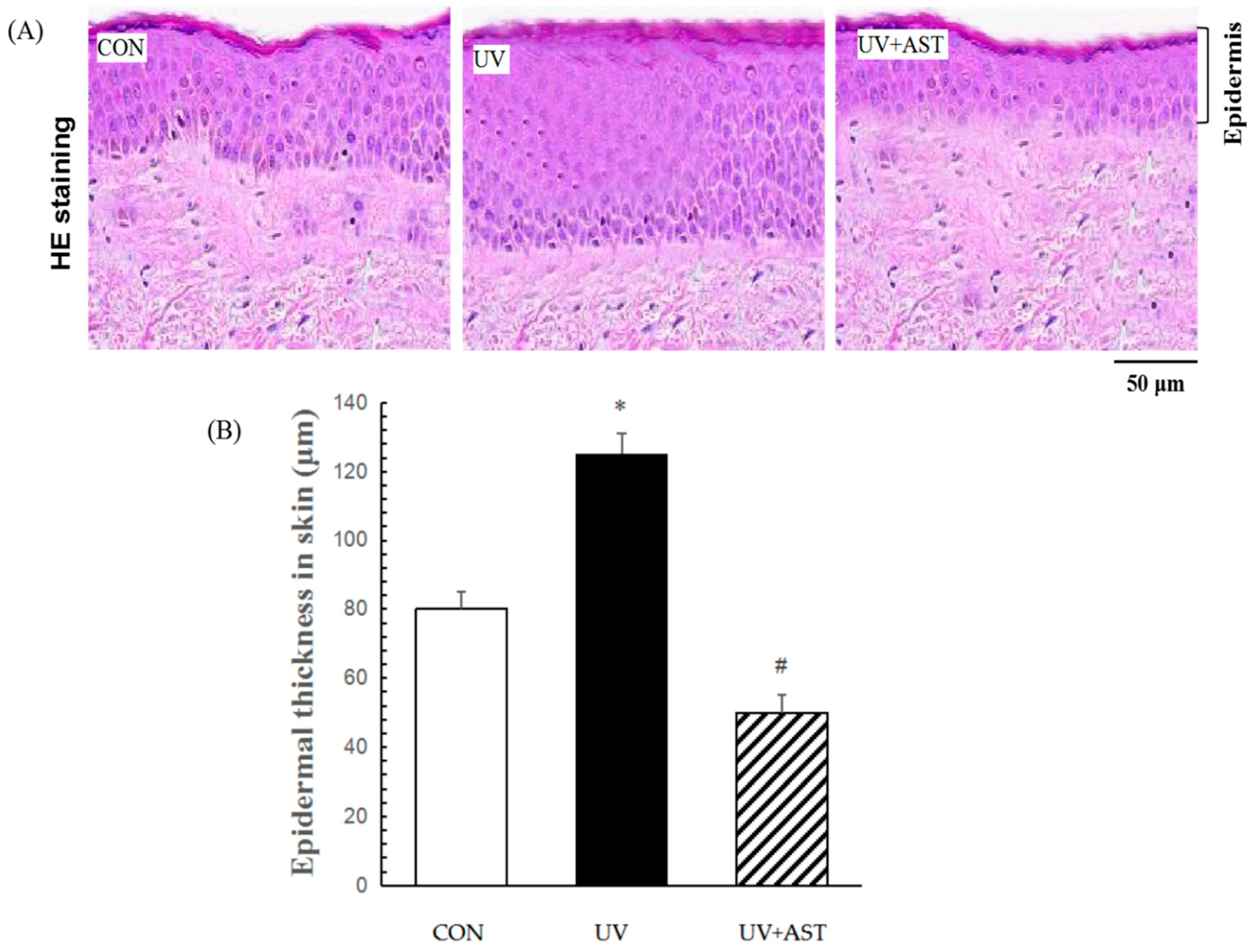 Biomedicines 08 00018 g002