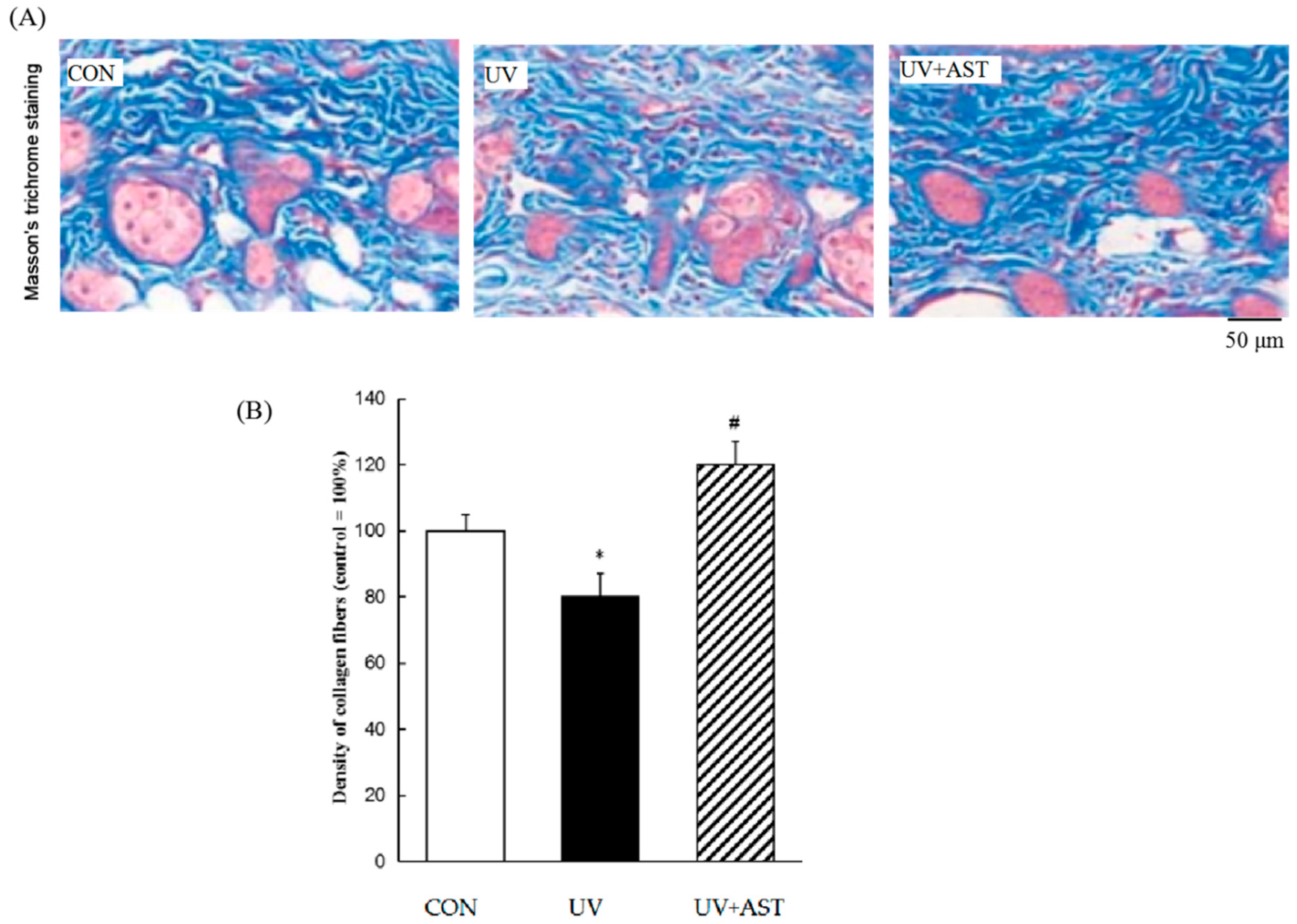 Biomedicines 08 00018 g003
