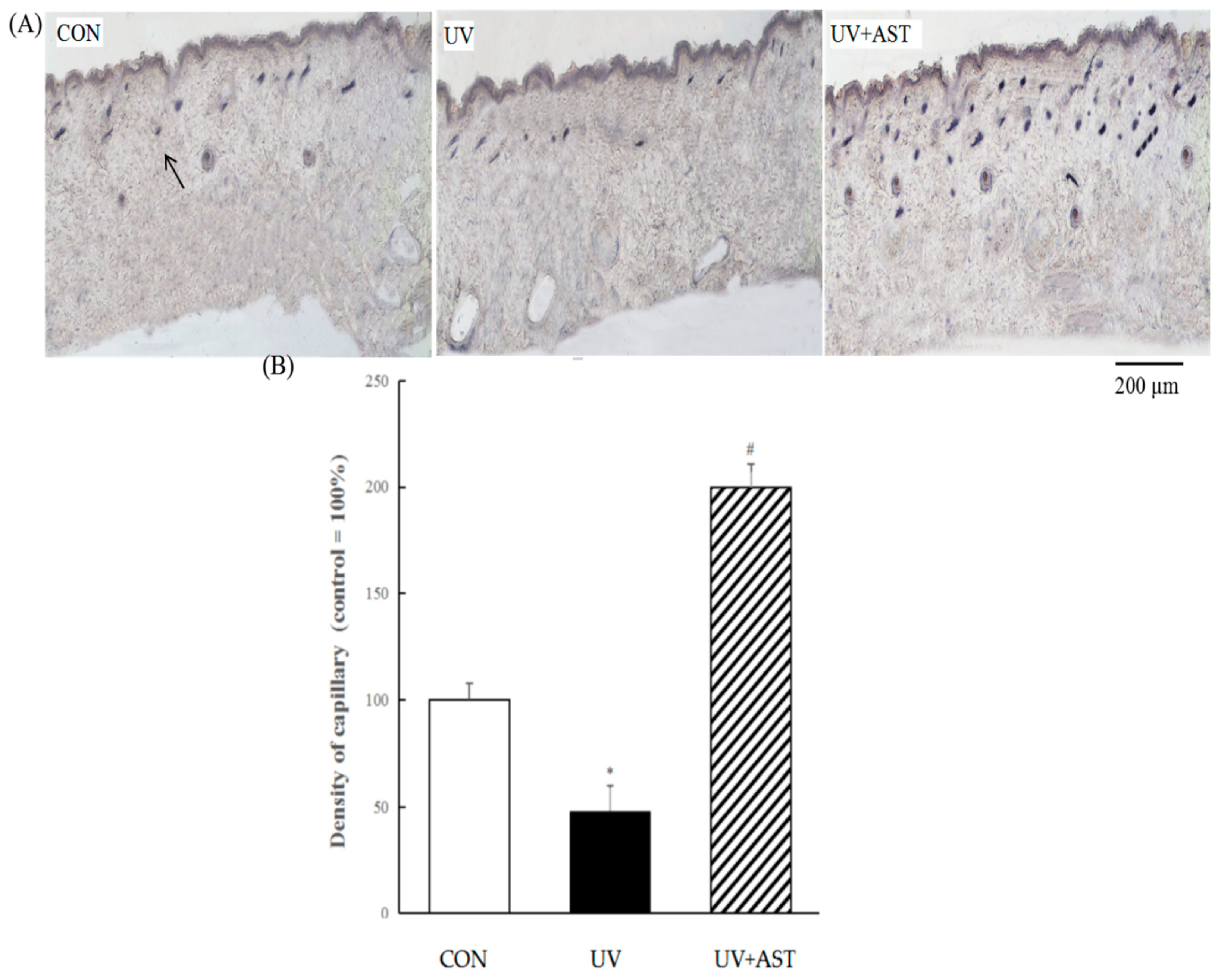 Biomedicines 08 00018 g004