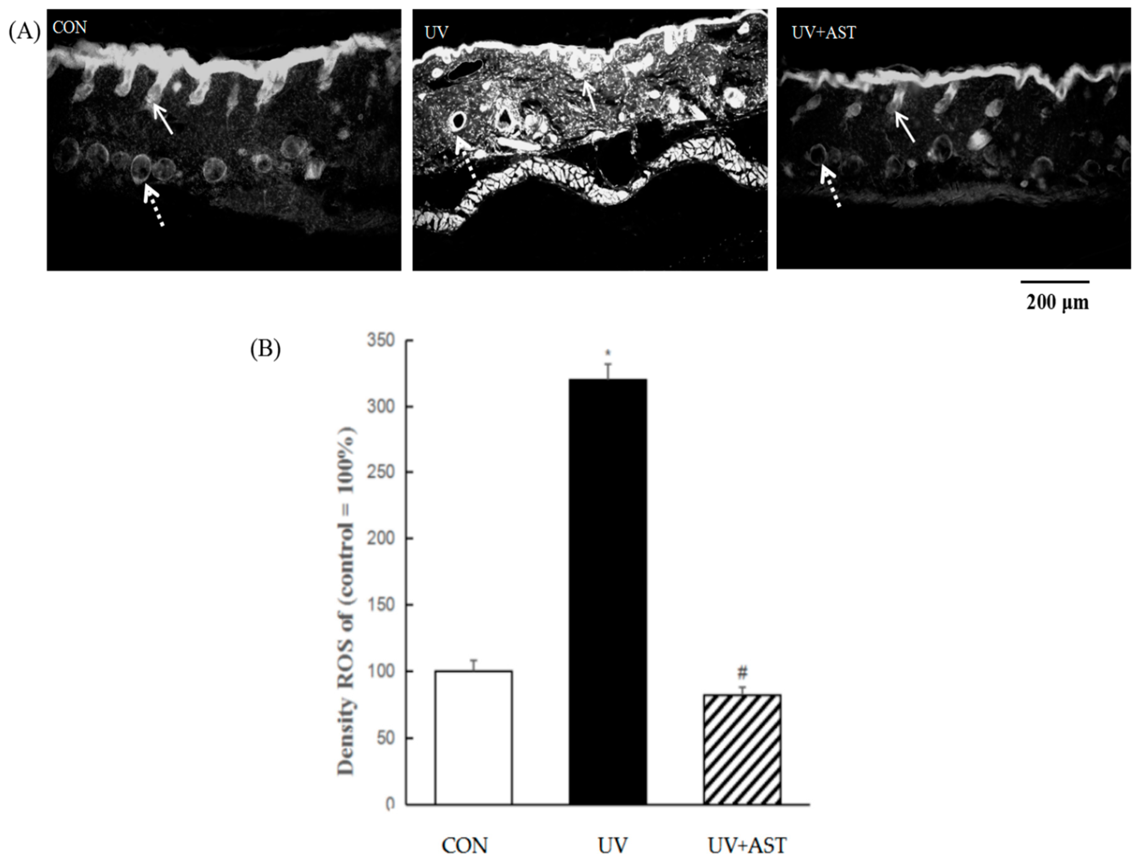 Biomedicines 08 00018 g005