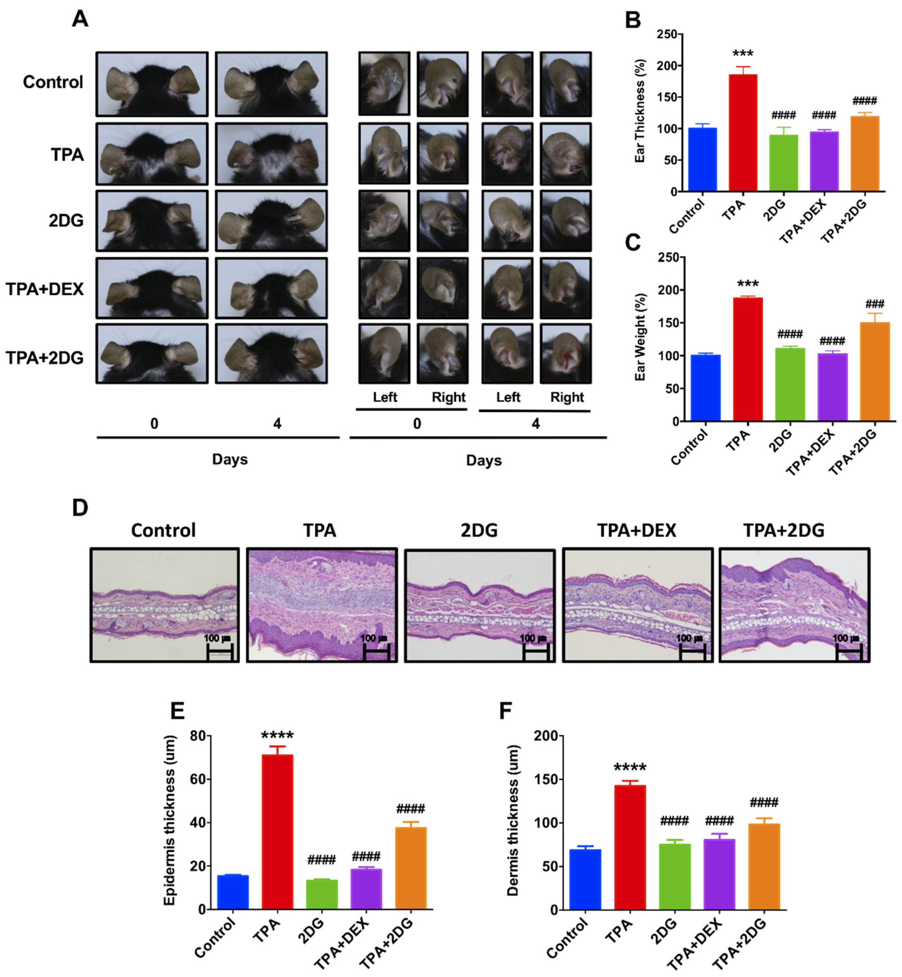 Biomedicines 08 00020 g002