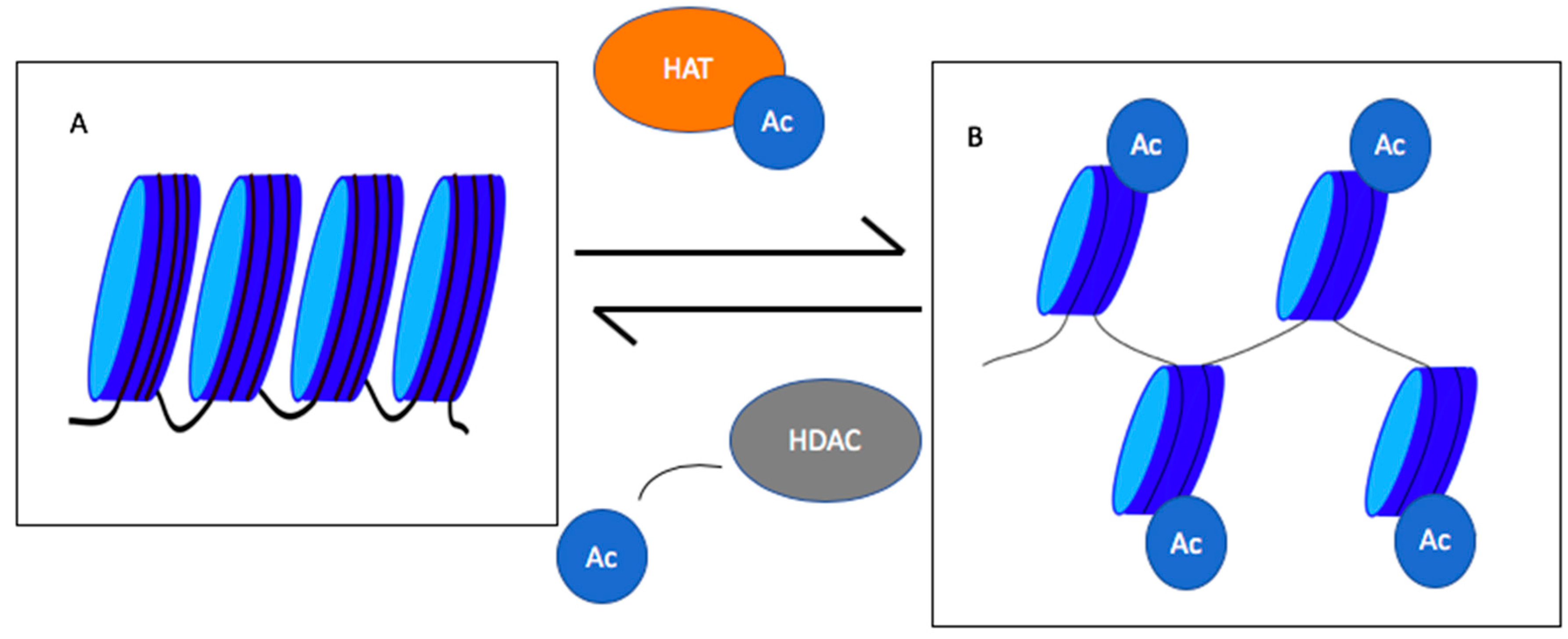 Biomedicines 08 00022 g001