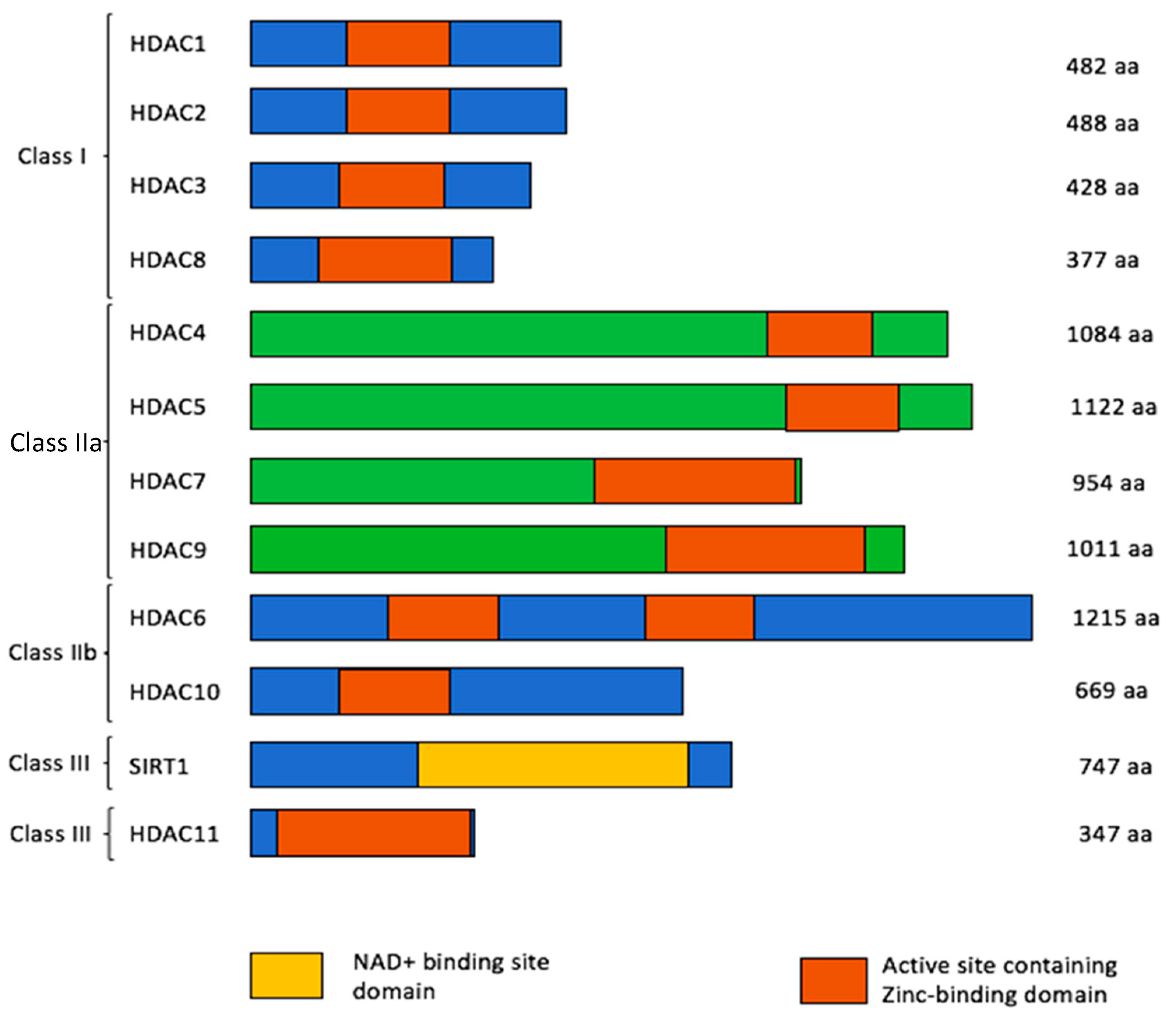 Biomedicines 08 00022 g002