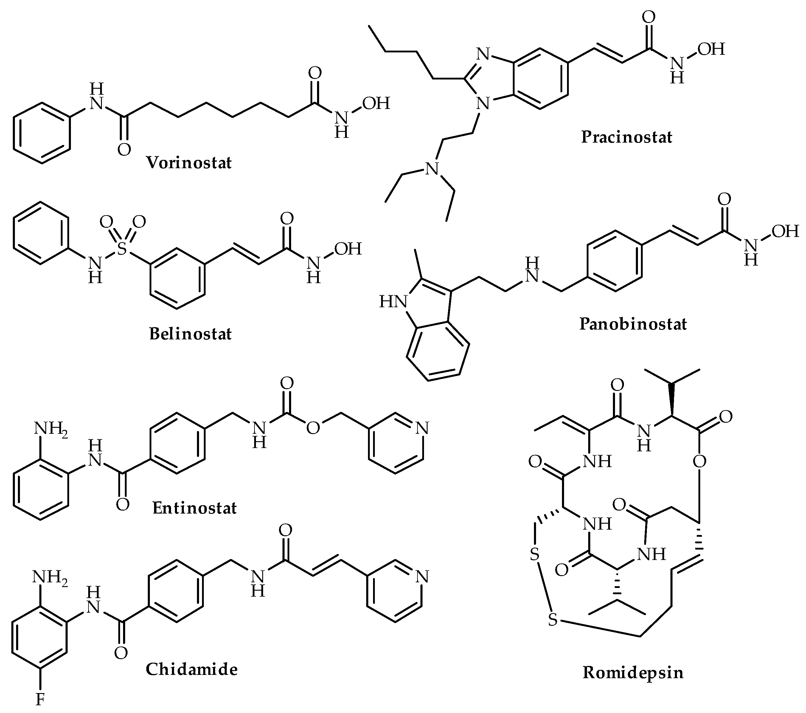 Biomedicines 08 00022 g004