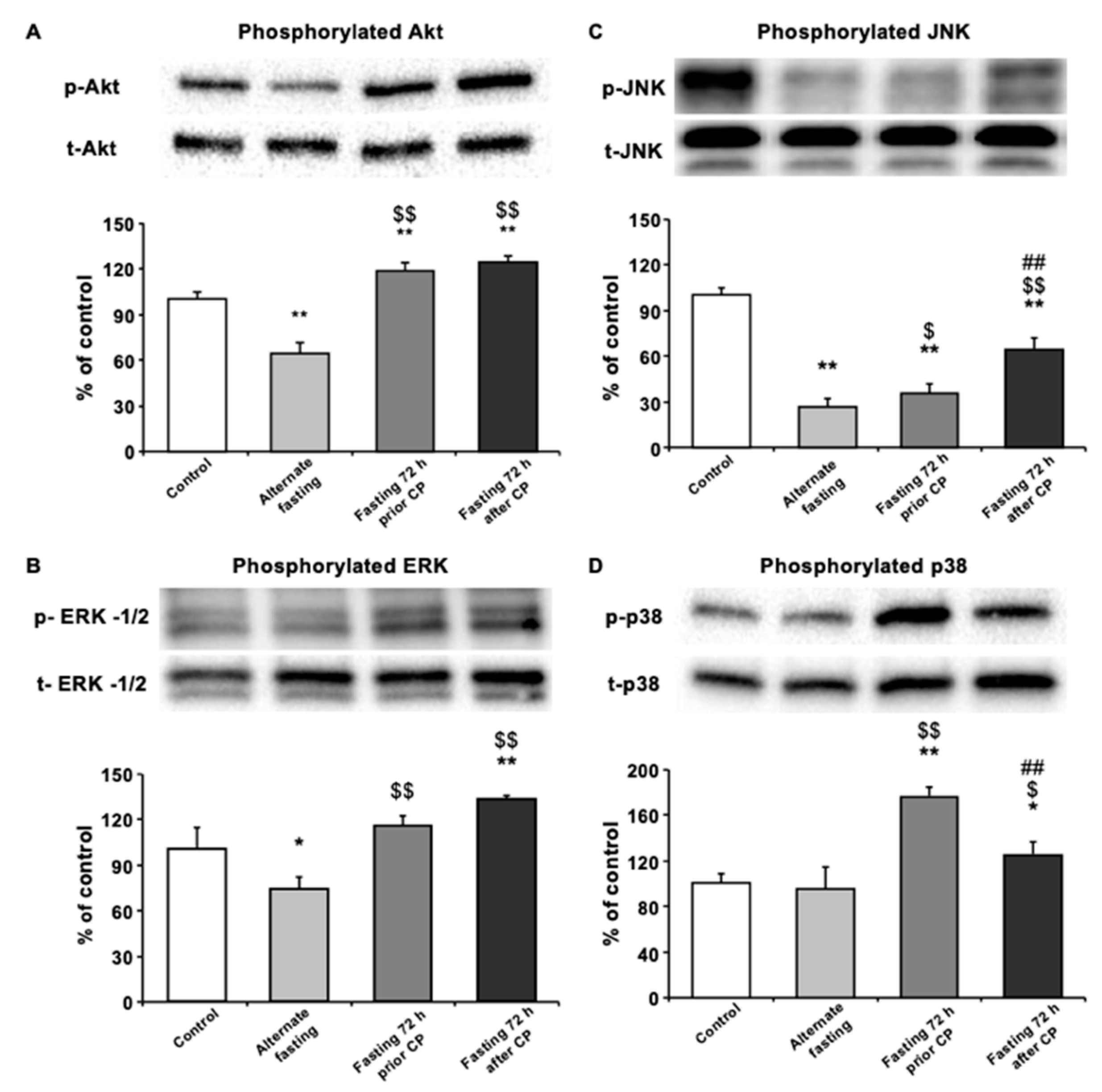 Biomedicines 08 00023 g003