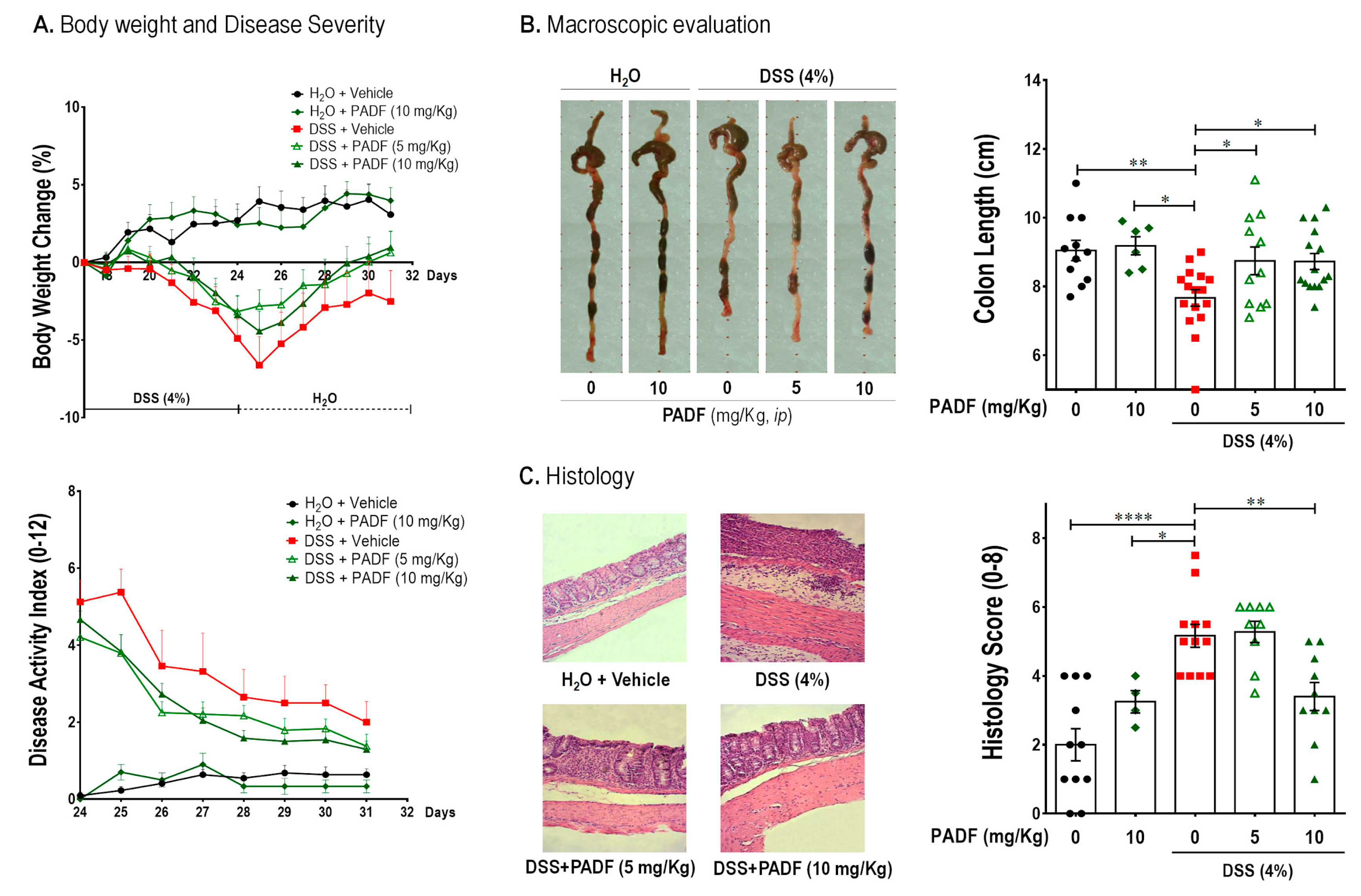 Biomedicines 08 00024 g002