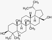 Biomedicines 08 00027 i010