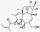 Biomedicines 08 00027 i011