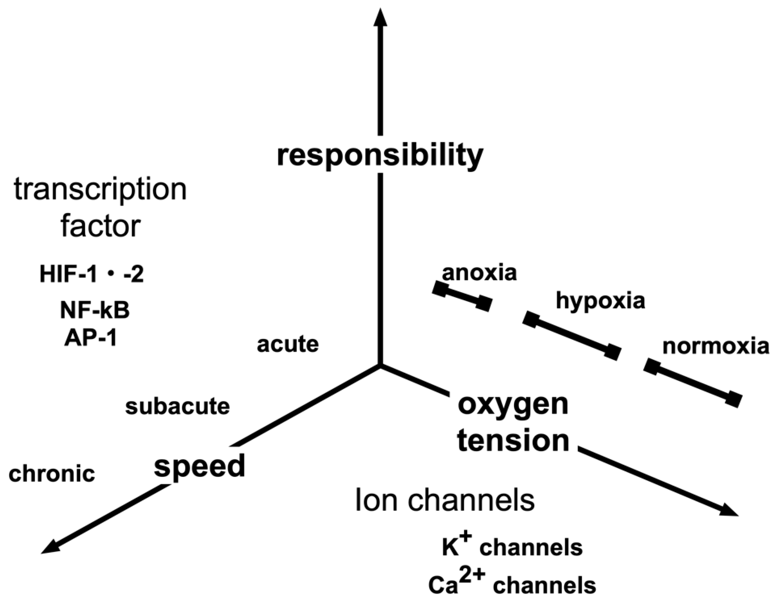 Biomedicines 08 00032 g002