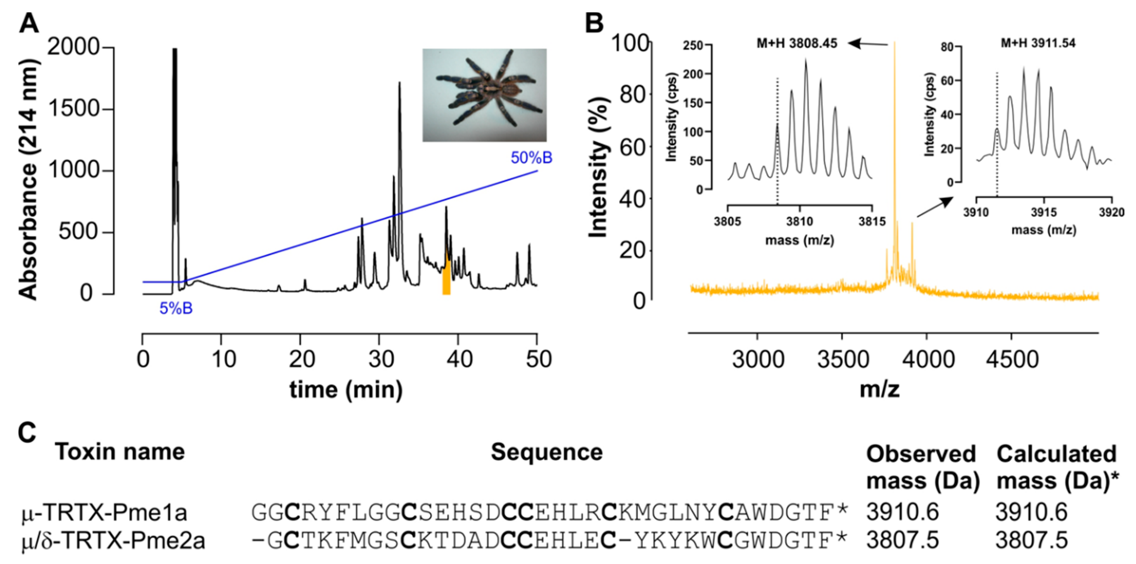 Biomedicines 08 00037 g001