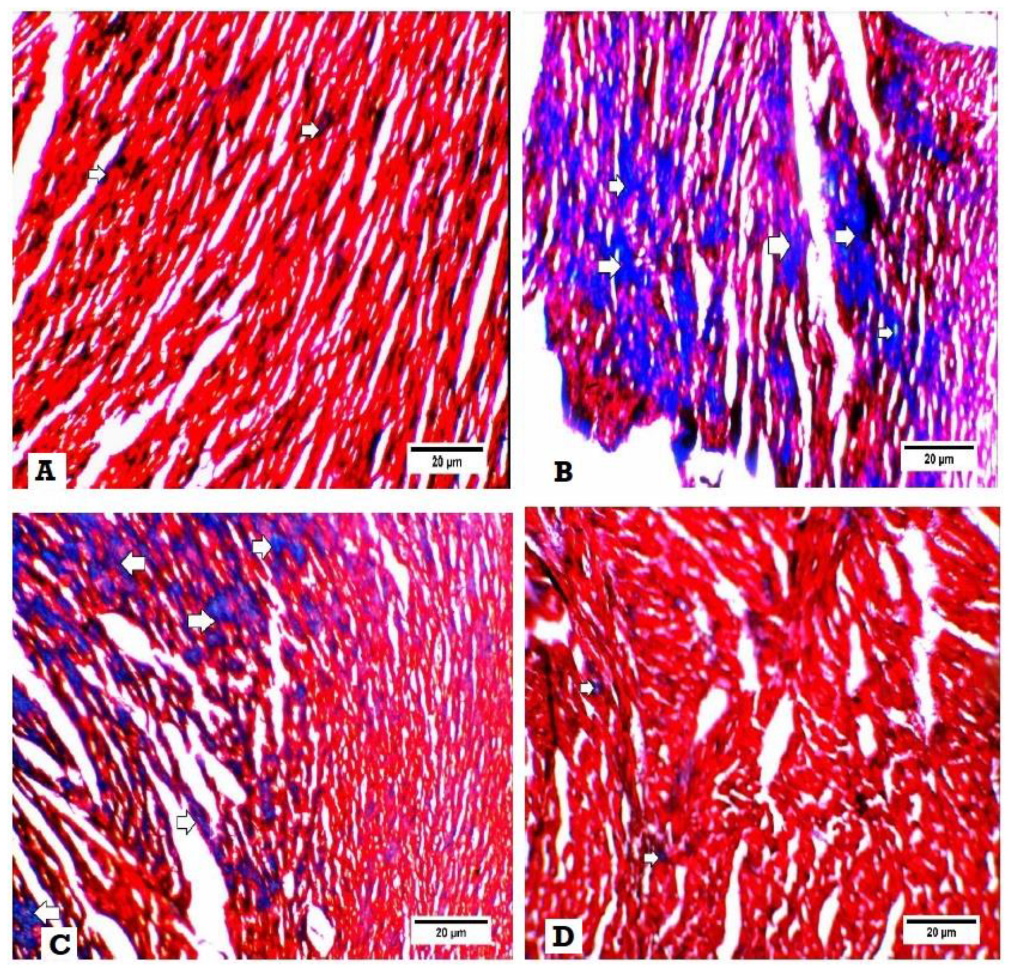 Biomedicines 08 00043 g004
