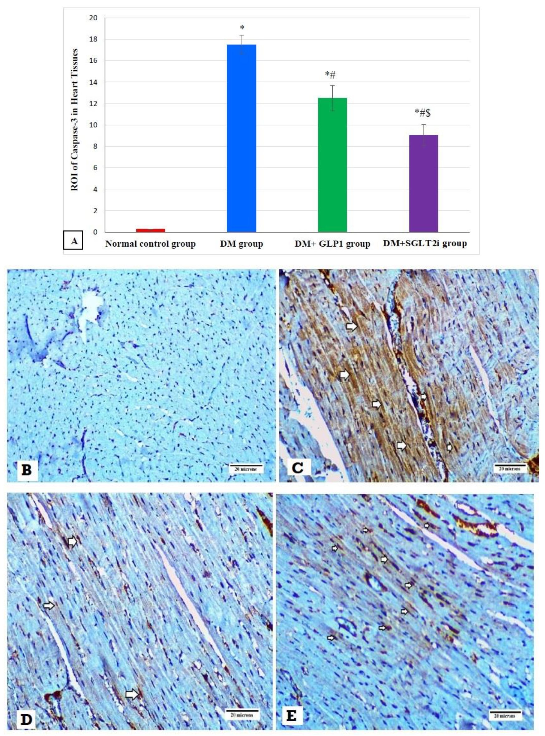 Biomedicines 08 00043 g006