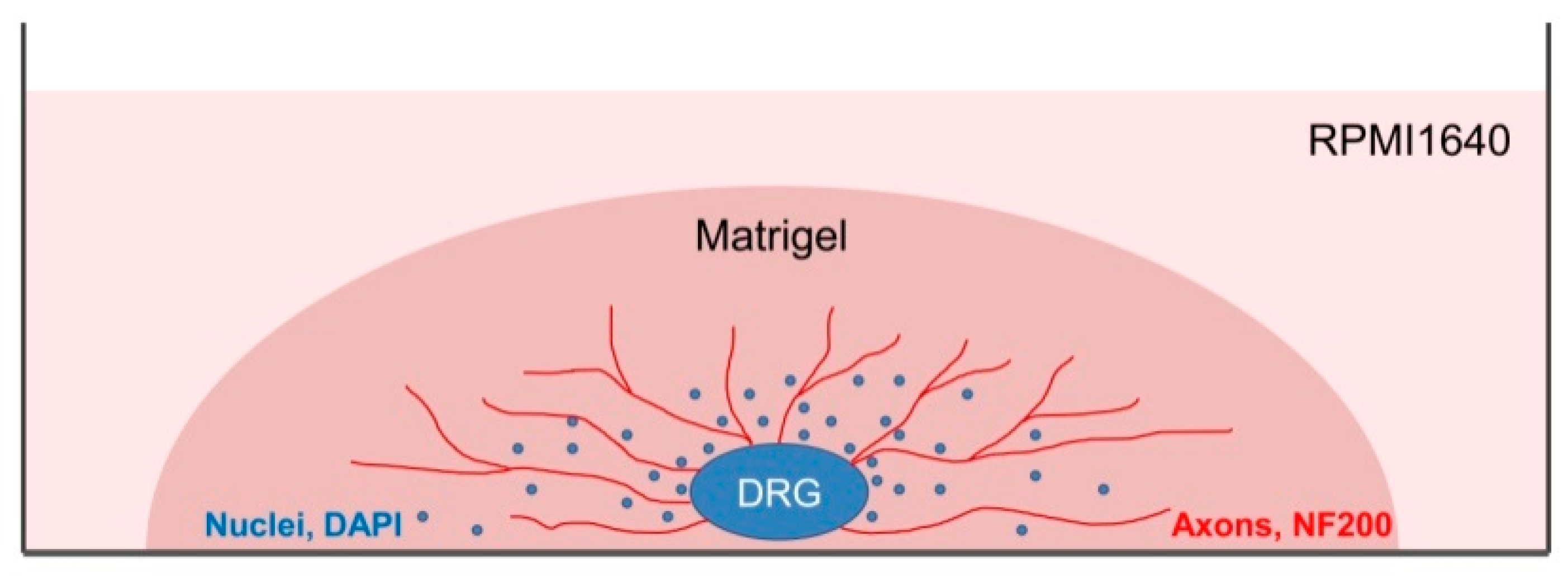 Biomedicines 08 00049 g003