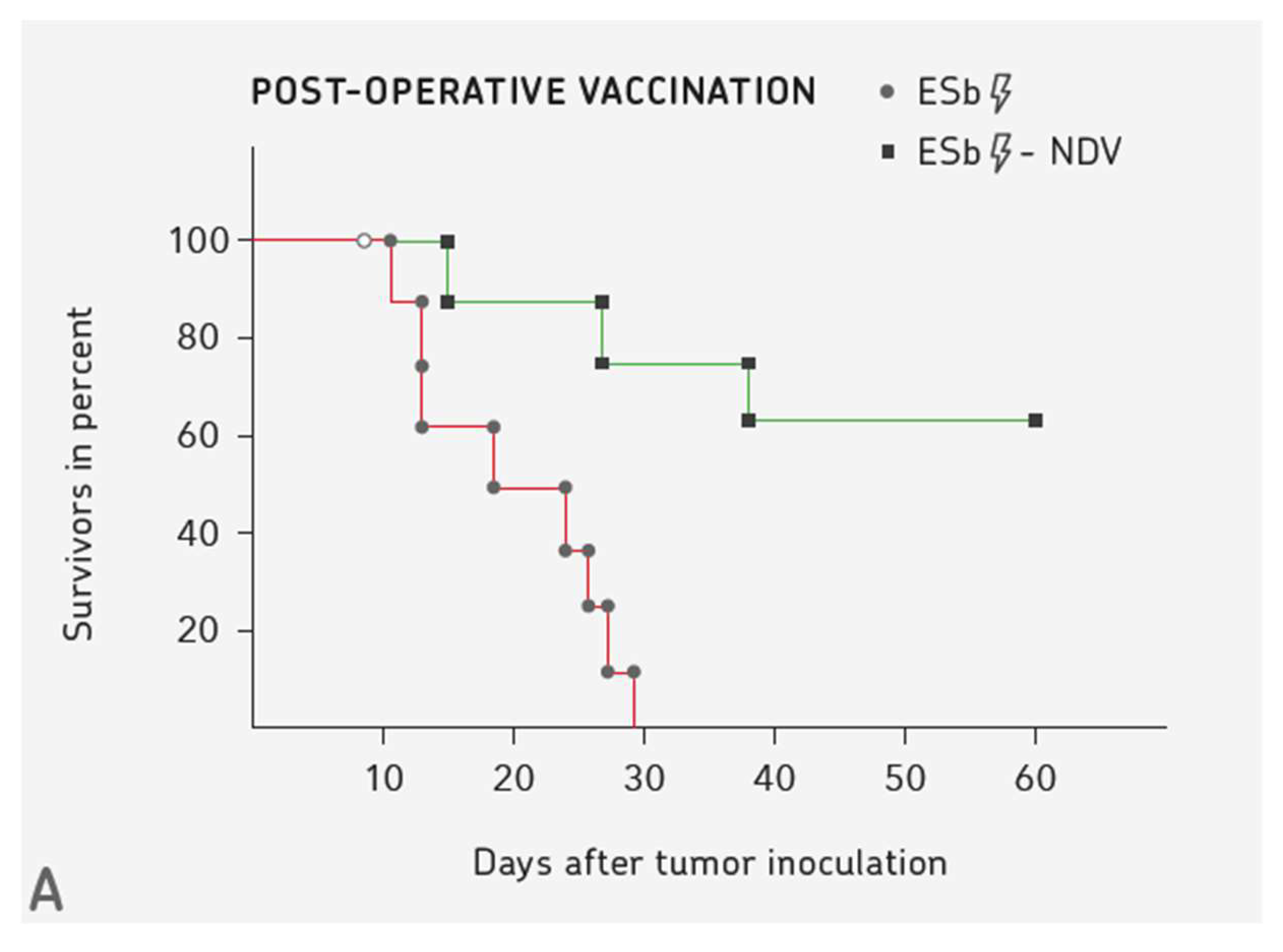 Biomedicines 08 00055 g001a