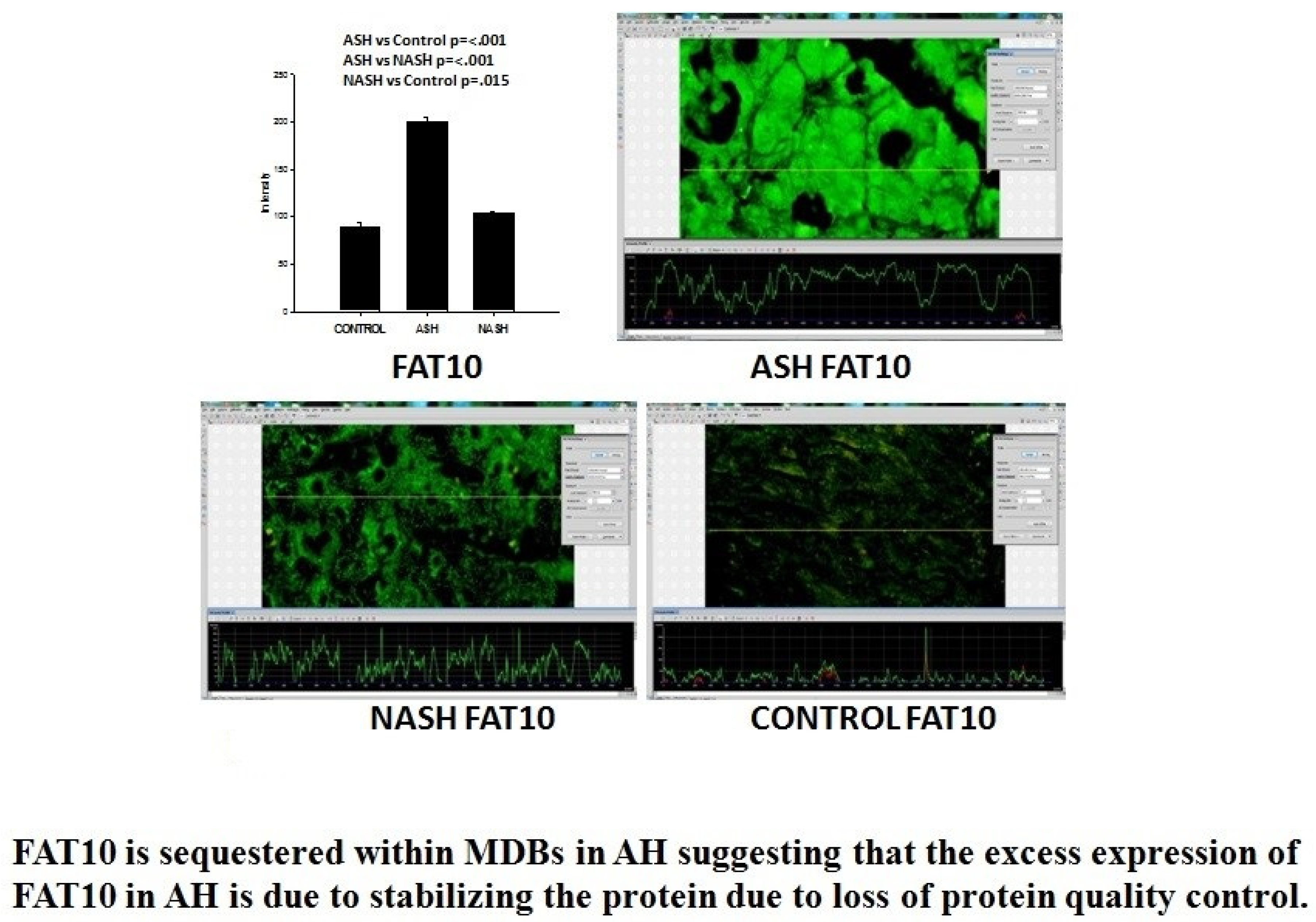 Biomedicines 08 00063 g005