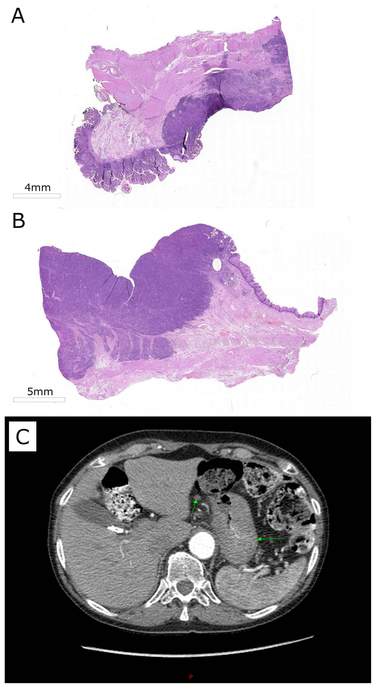 Biomedicines 08 00067 g001
