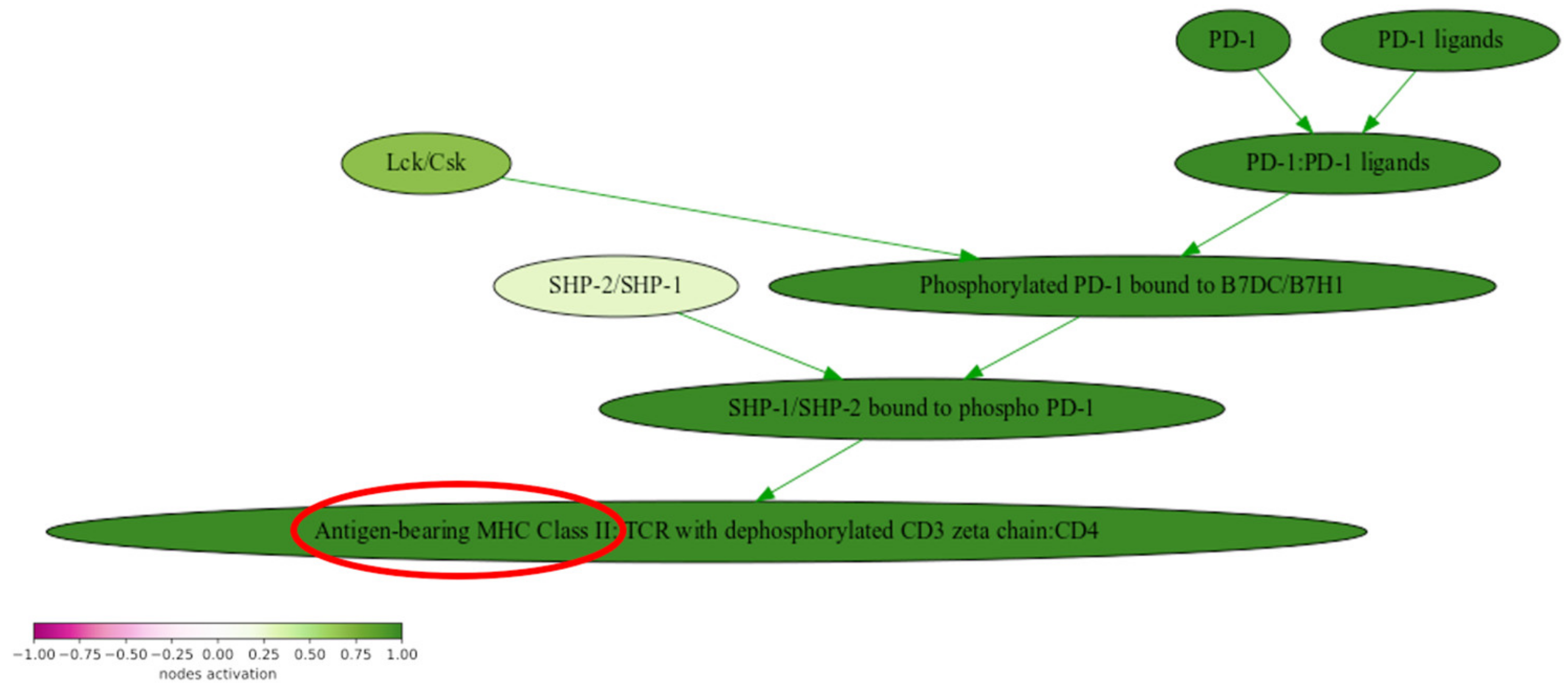 Biomedicines 08 00067 g003