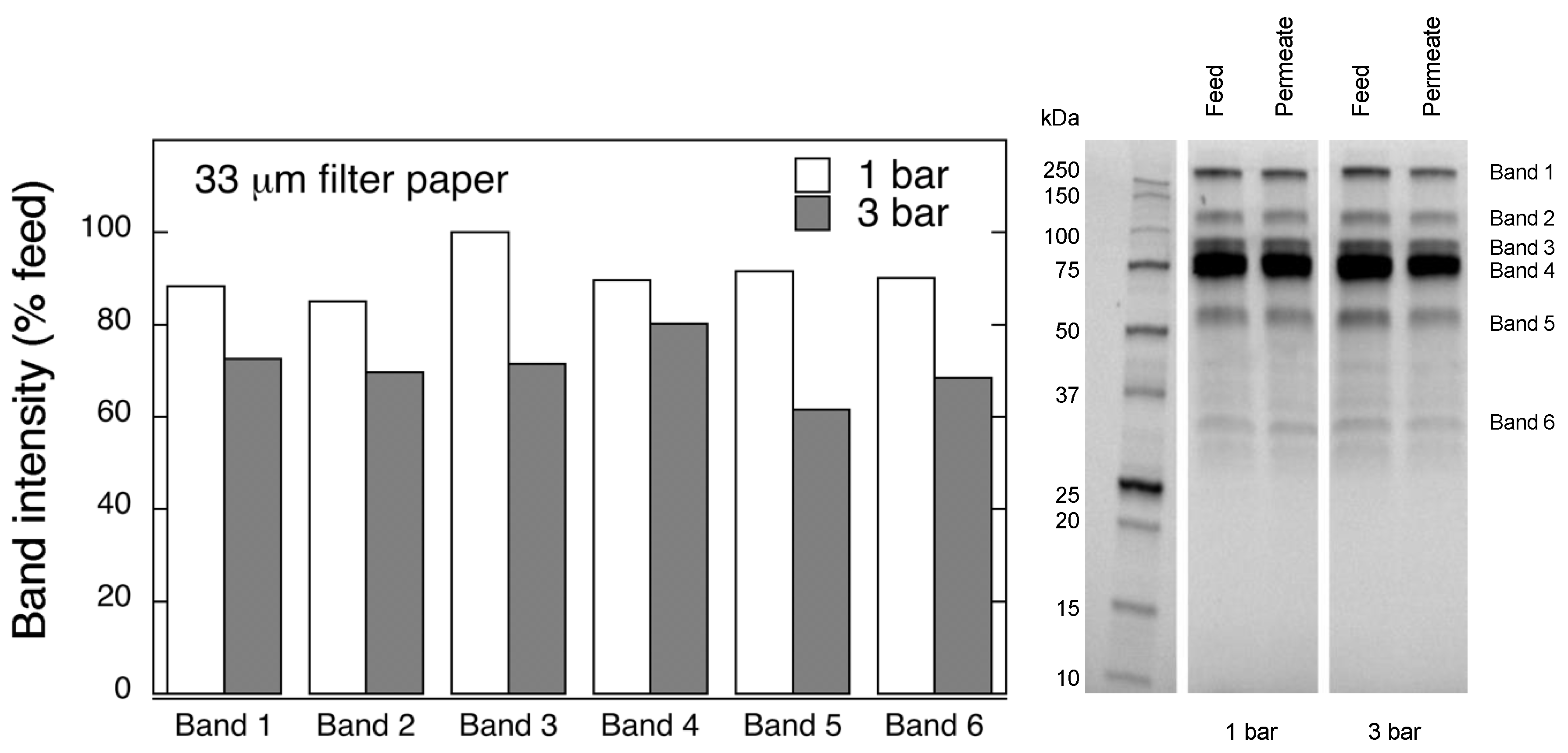 Biomedicines 08 00069 g002