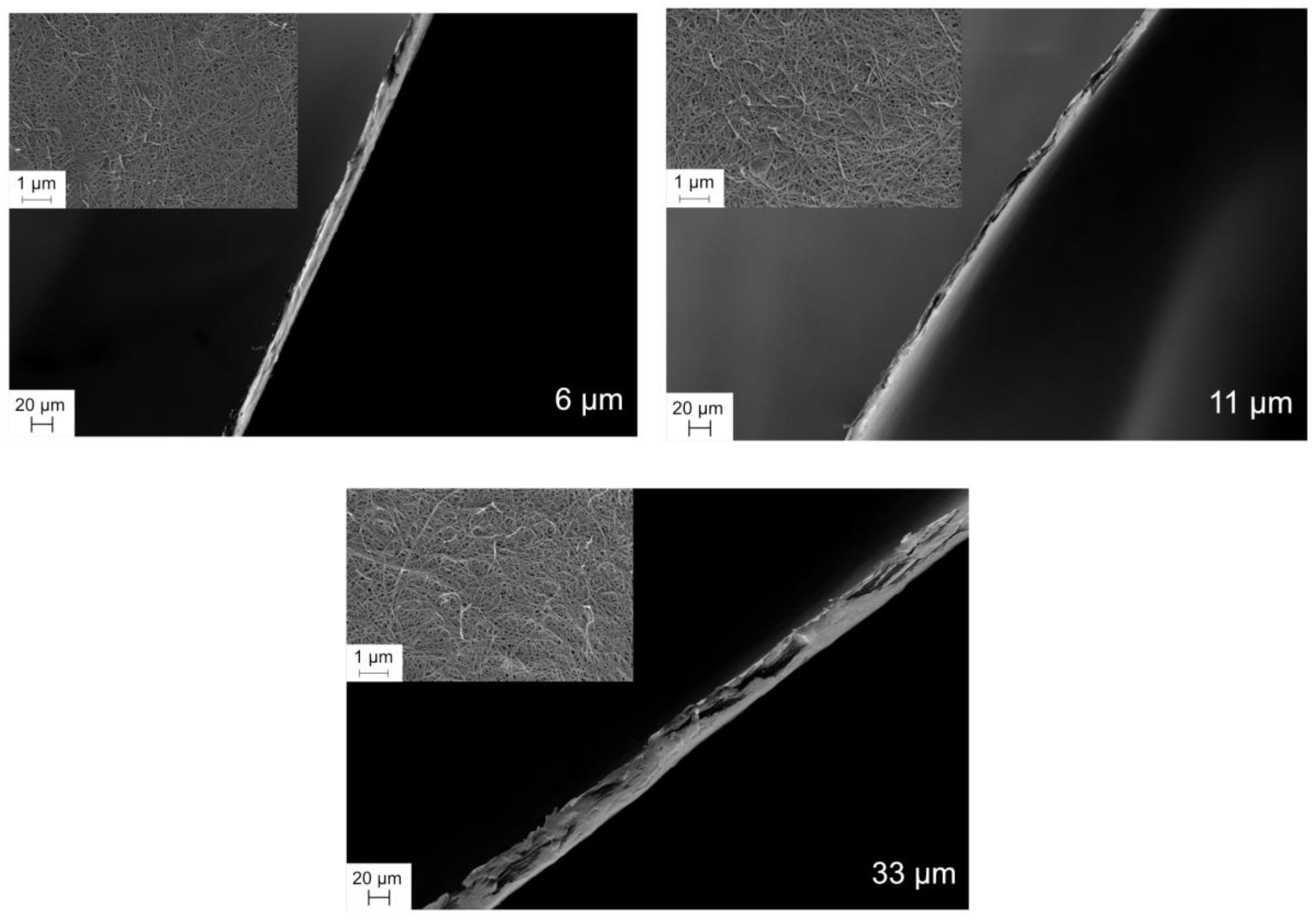 Biomedicines 08 00069 g003