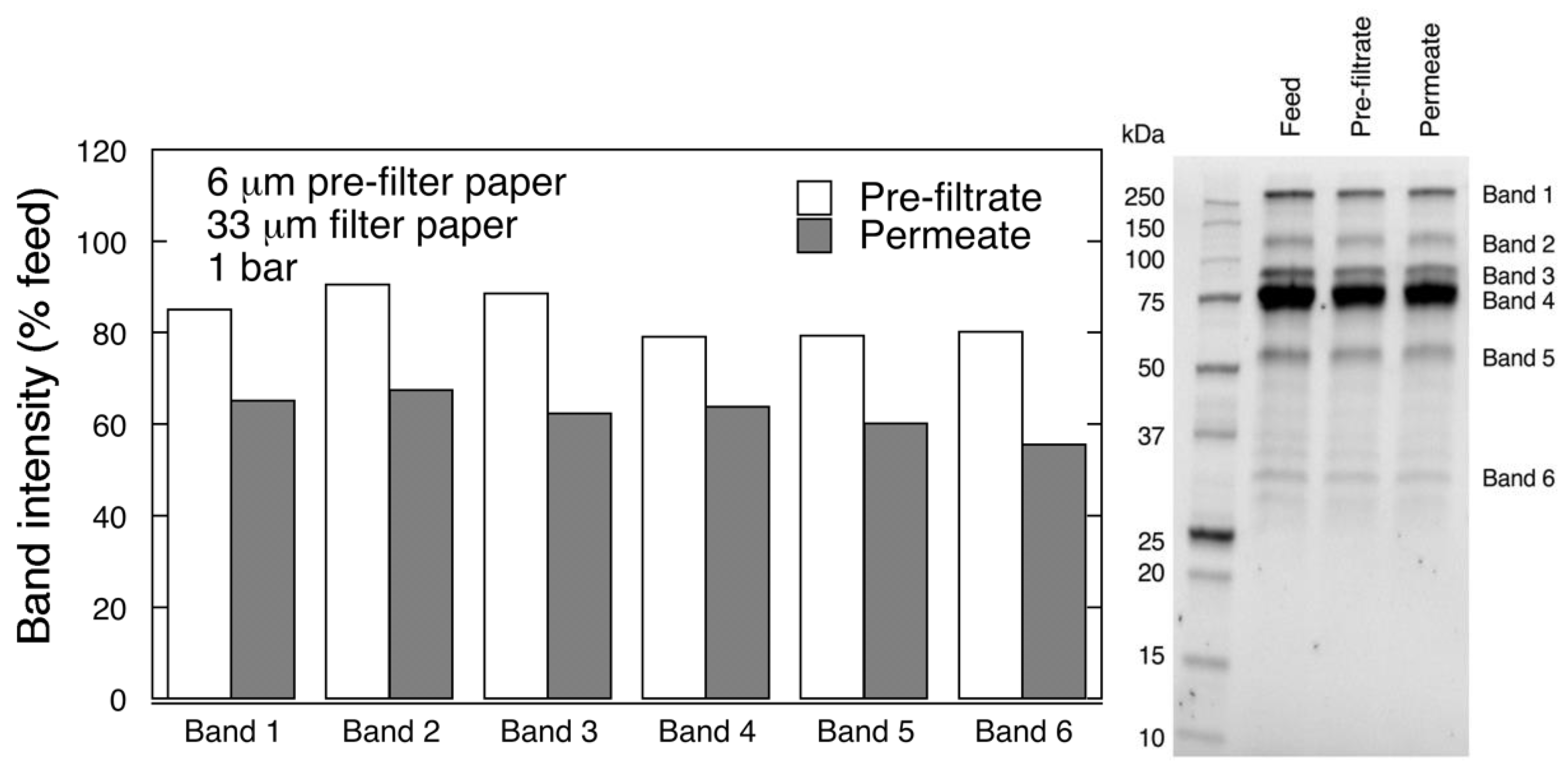 Biomedicines 08 00069 g007