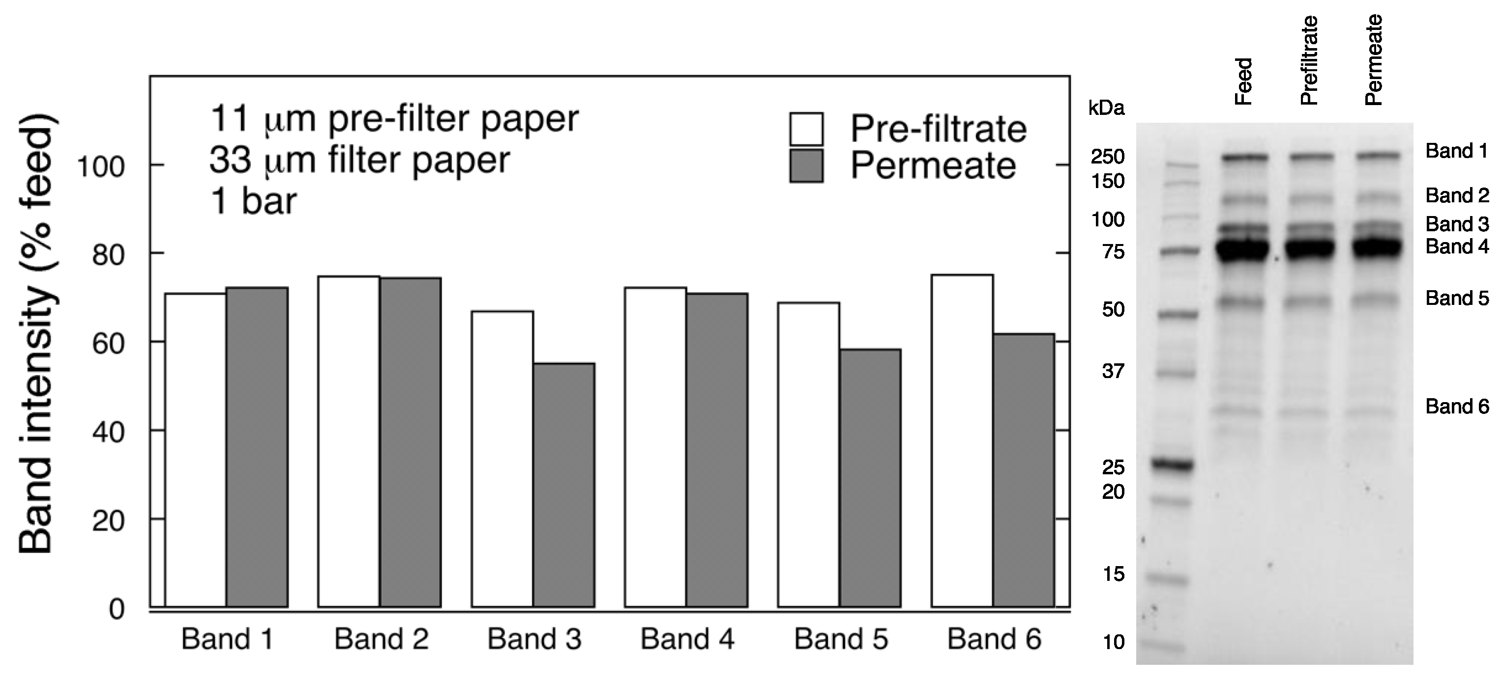 Biomedicines 08 00069 g010