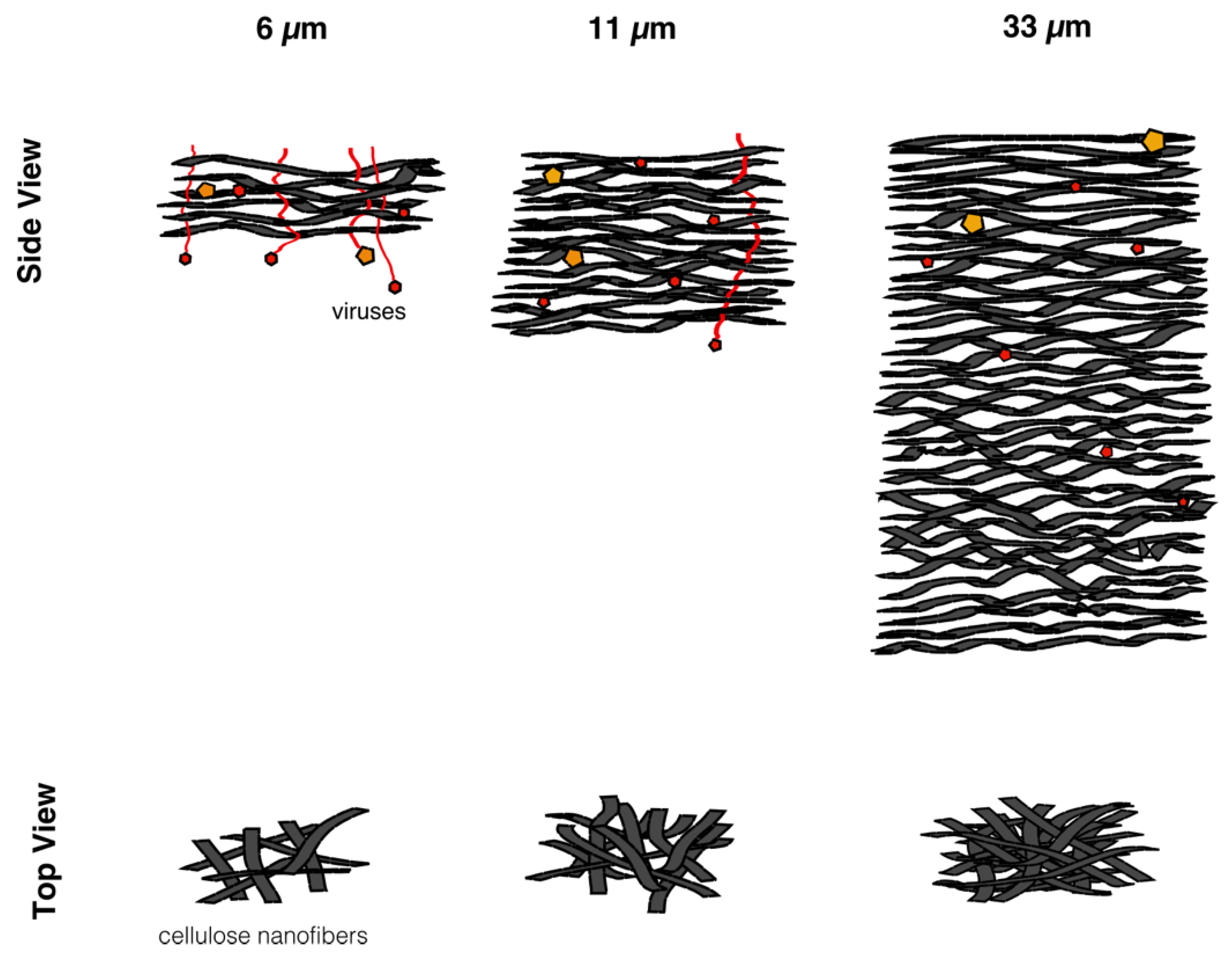 Biomedicines 08 00069 g012