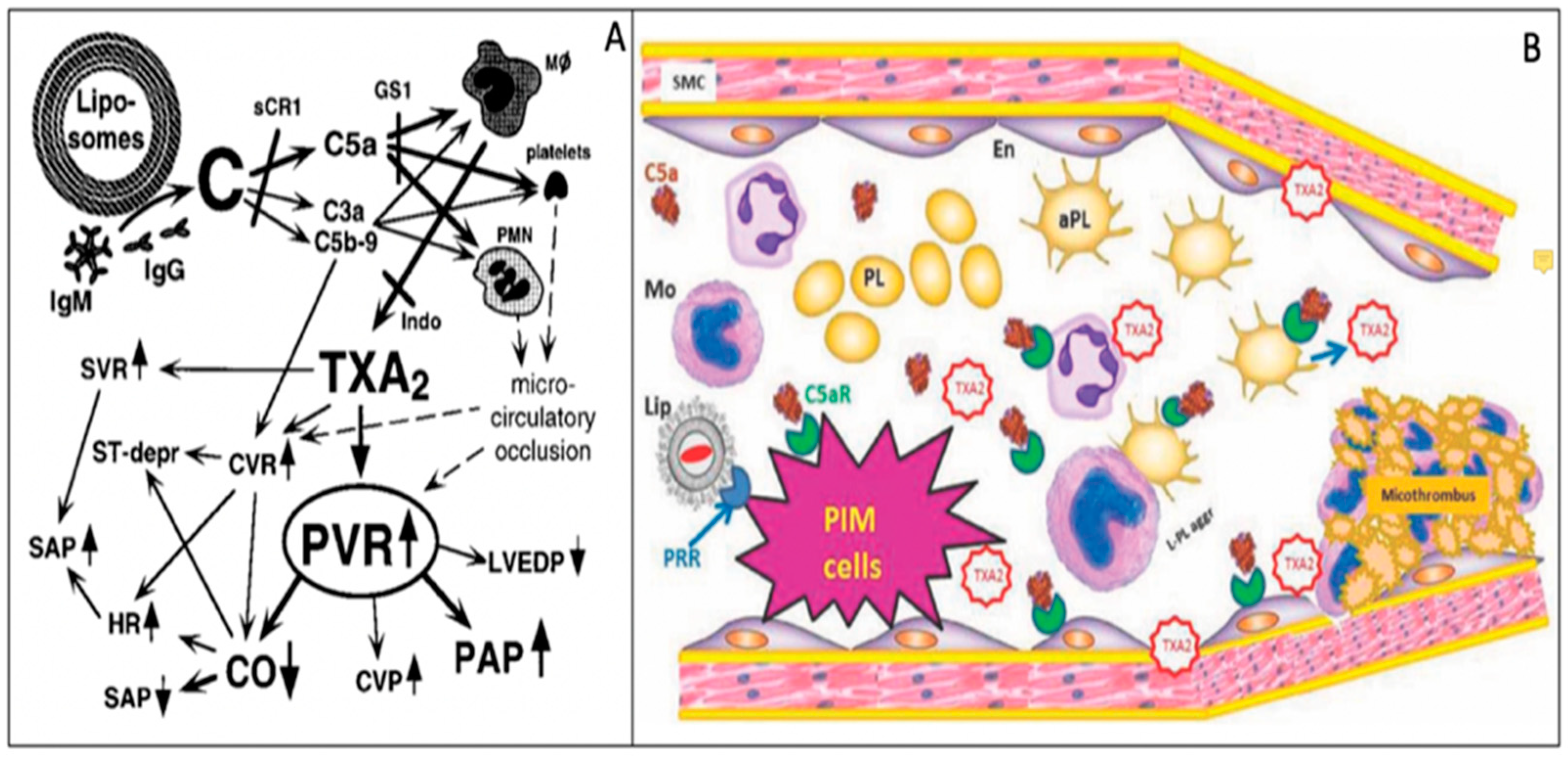 Biomedicines 08 00082 g002