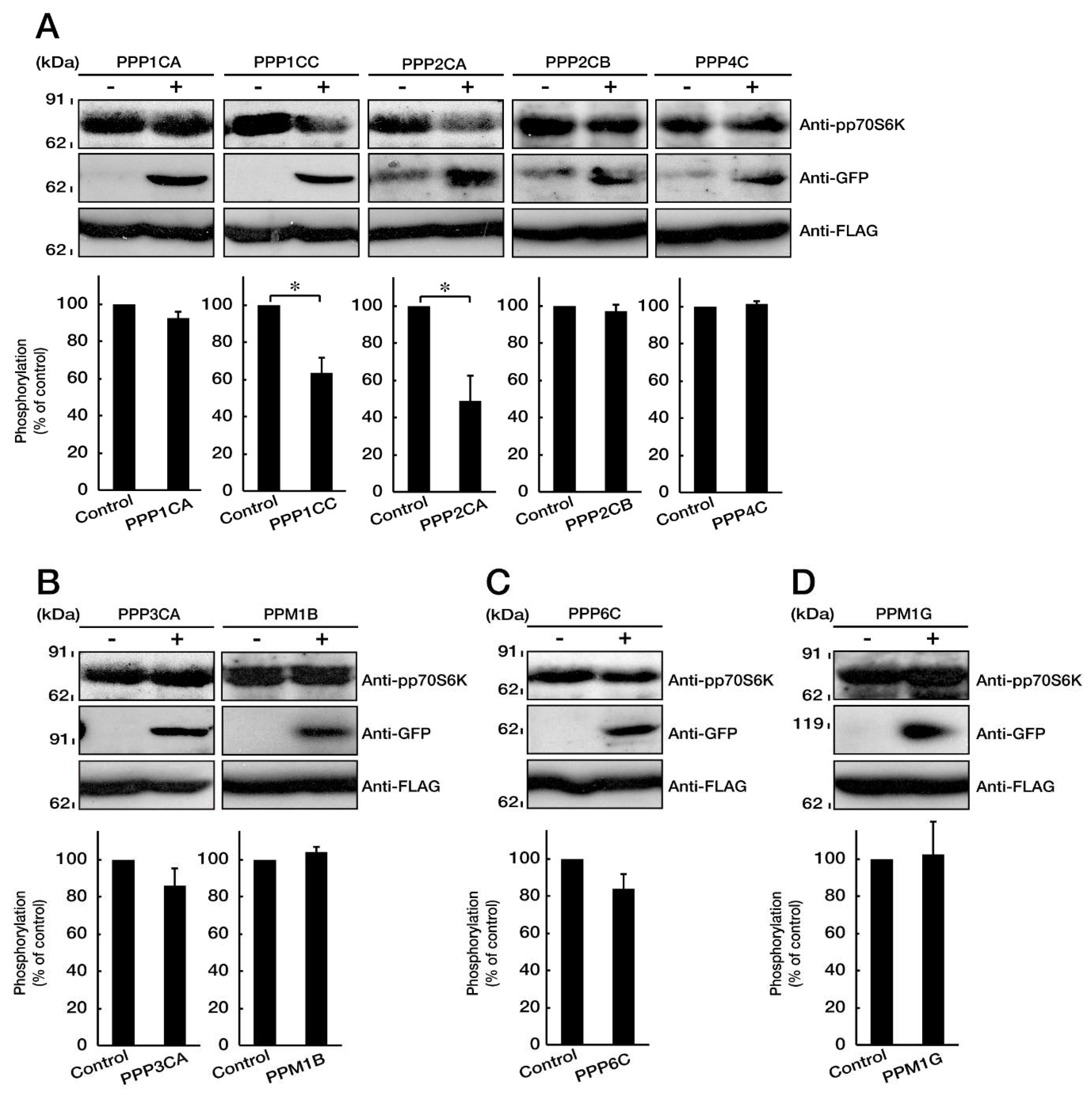Biomedicines 08 00089 g006