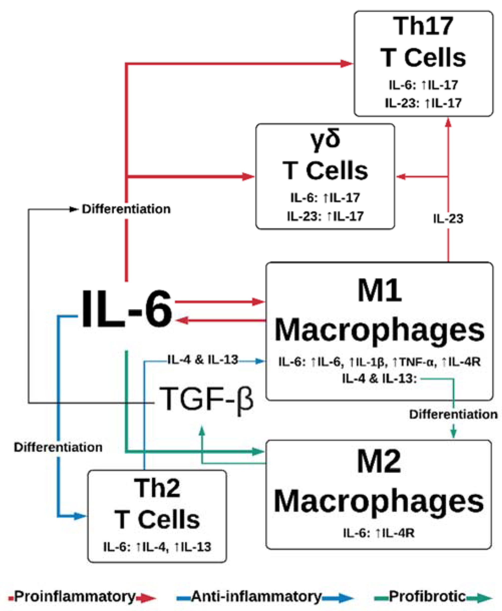 Biomedicines 08 00101 g002