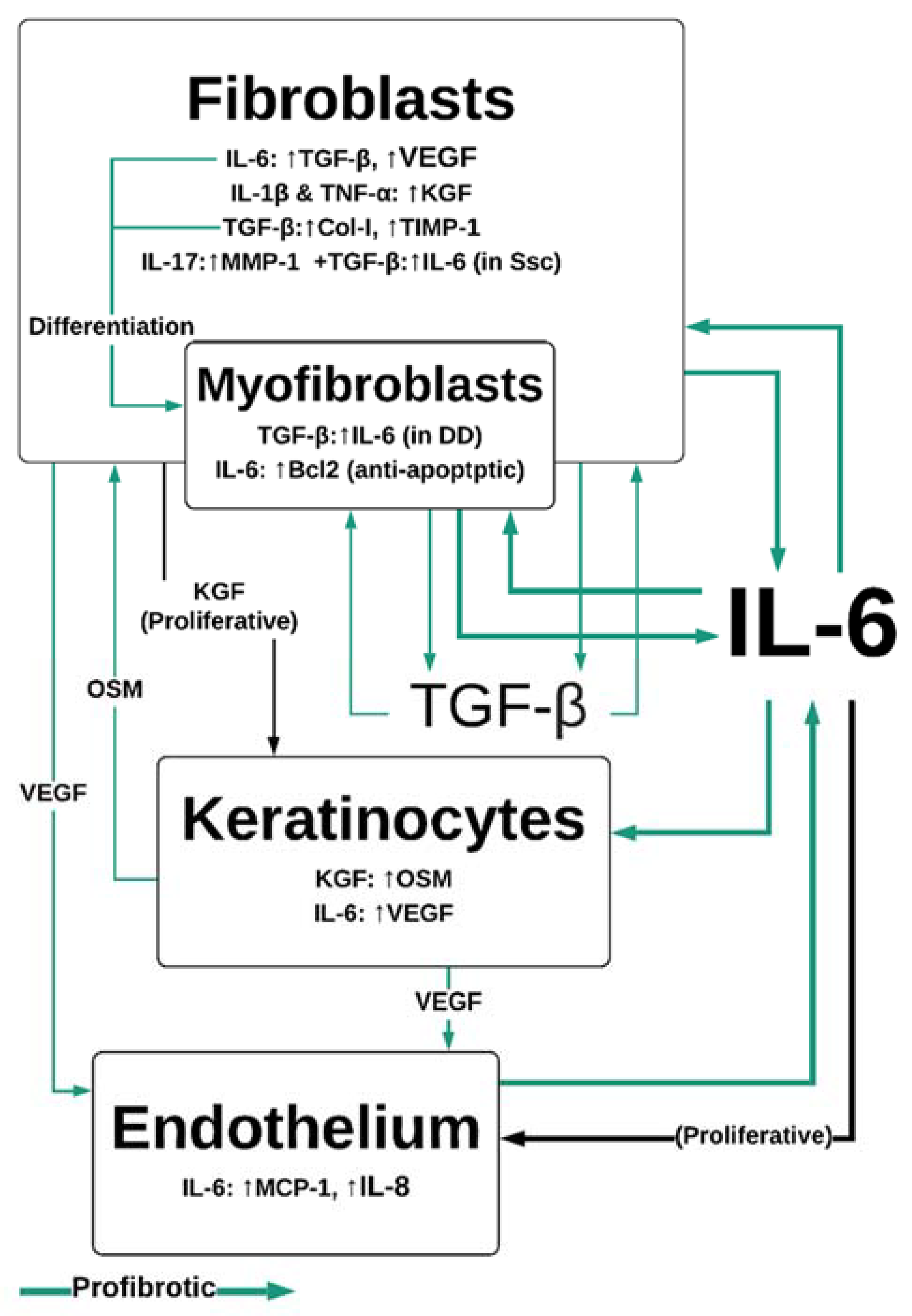 Biomedicines 08 00101 g003
