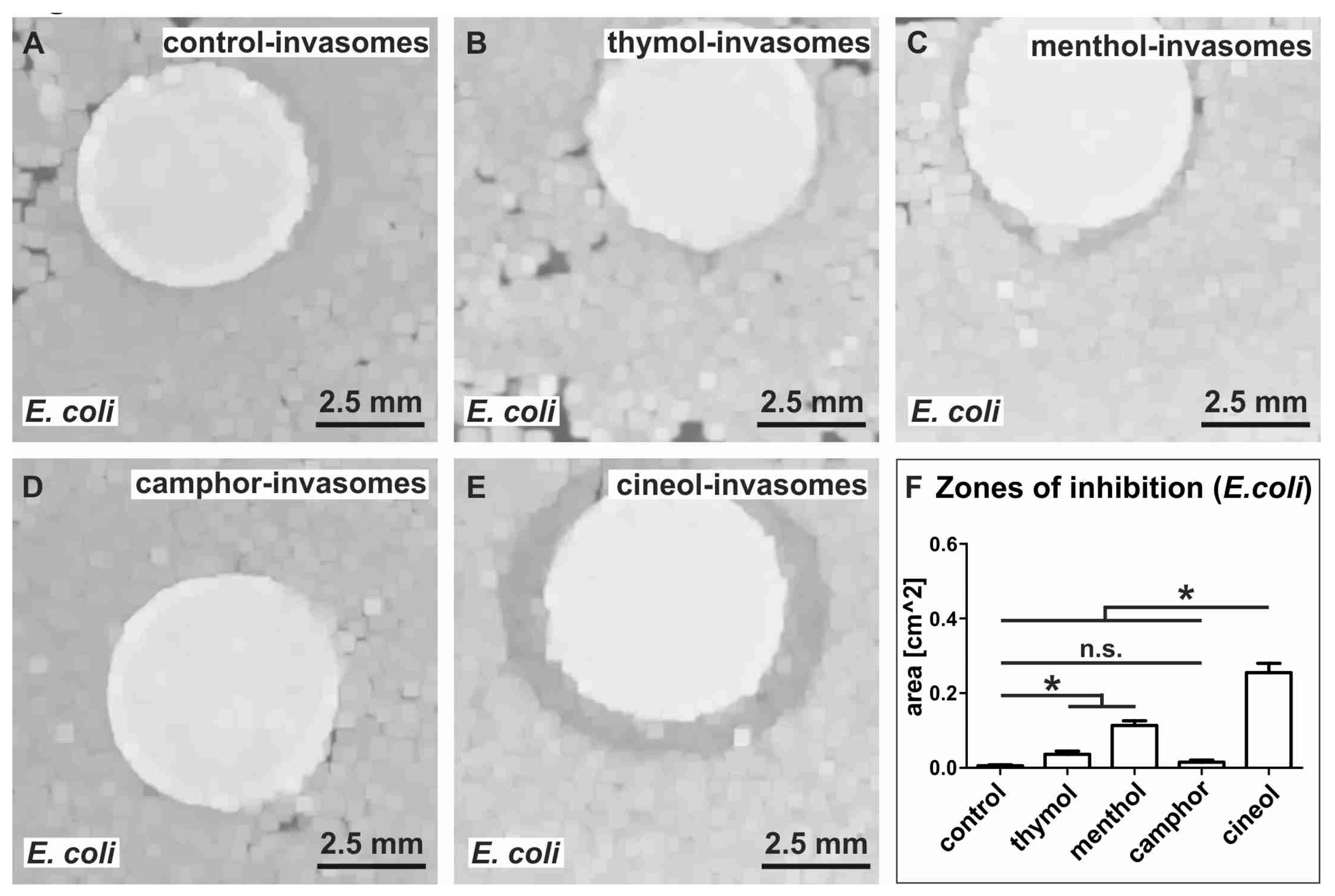 Biomedicines 08 00105 g010