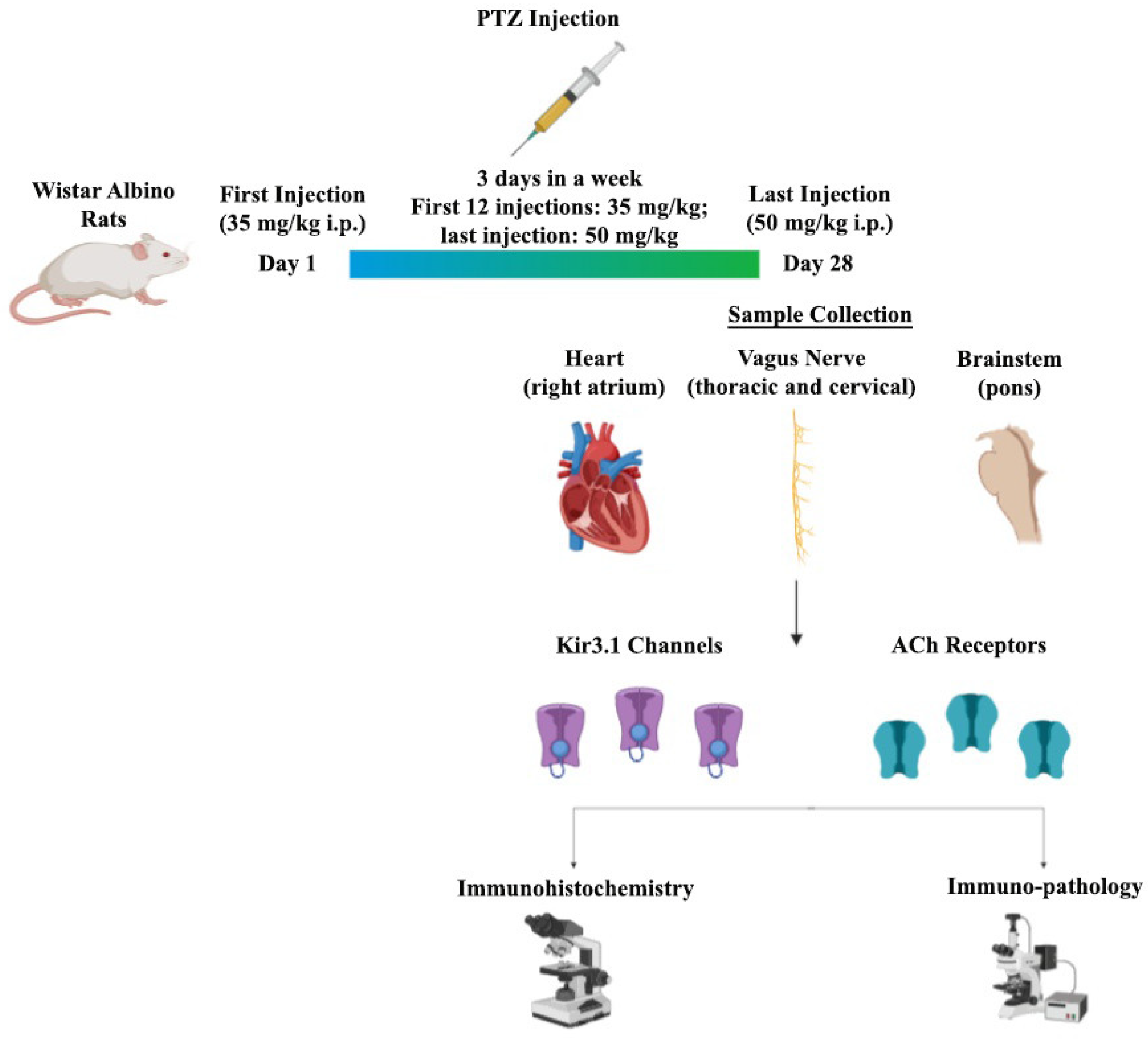 Biomedicines 08 00113 g001