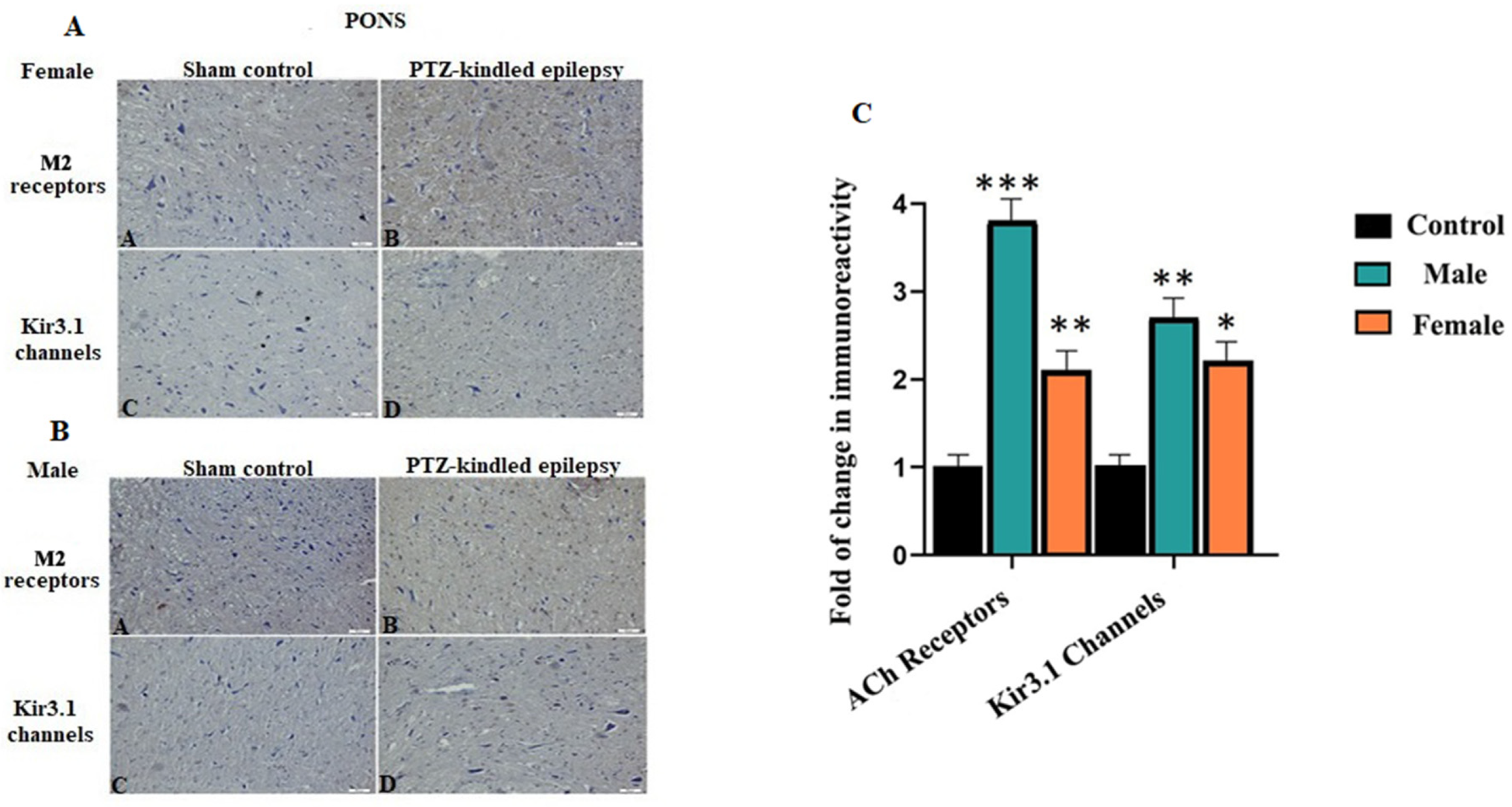 Biomedicines 08 00113 g005