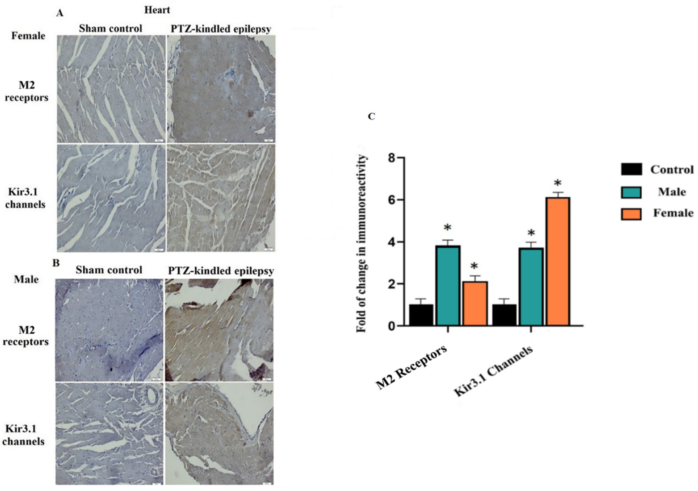 Biomedicines 08 00113 g007