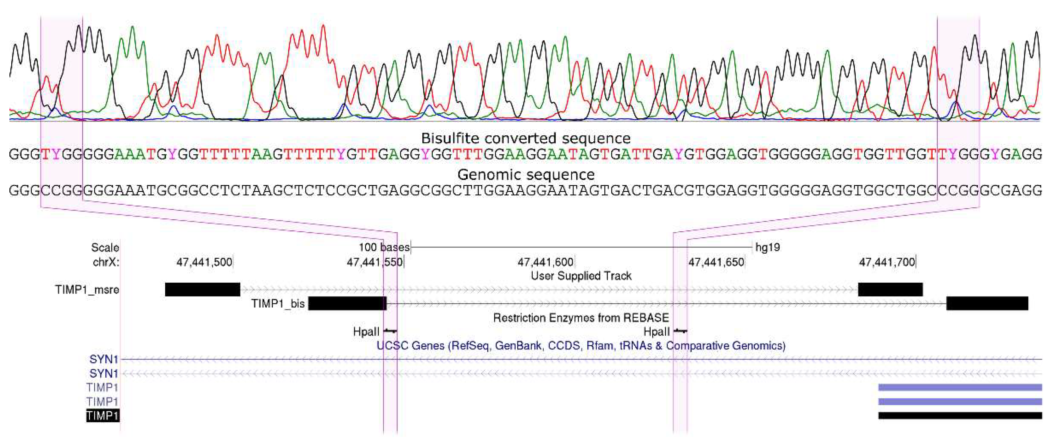 Biomedicines 08 00116 g002